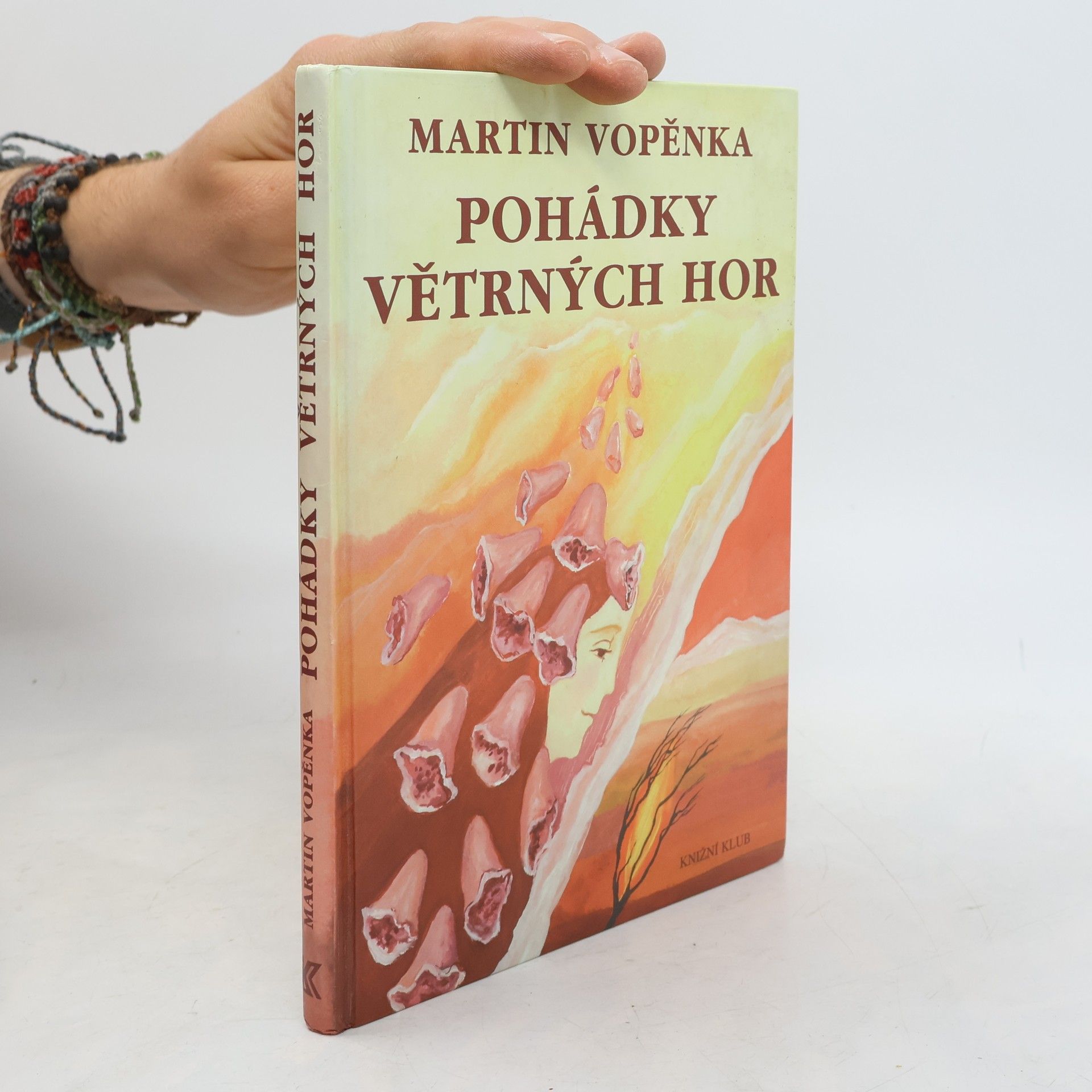 Anna Poustová Pohádky Větrných hor