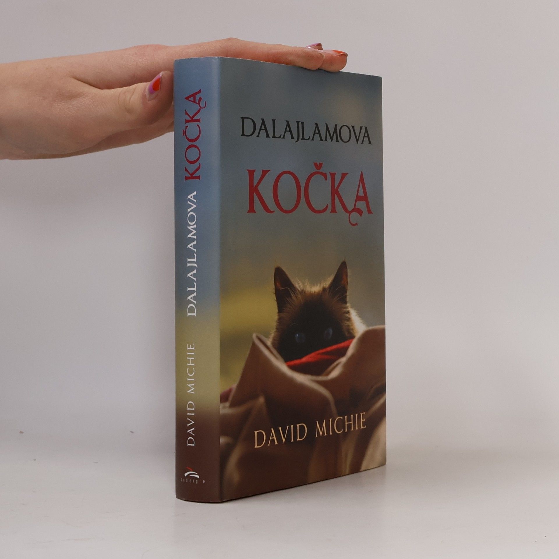 David Michie Dalajlamova kočka