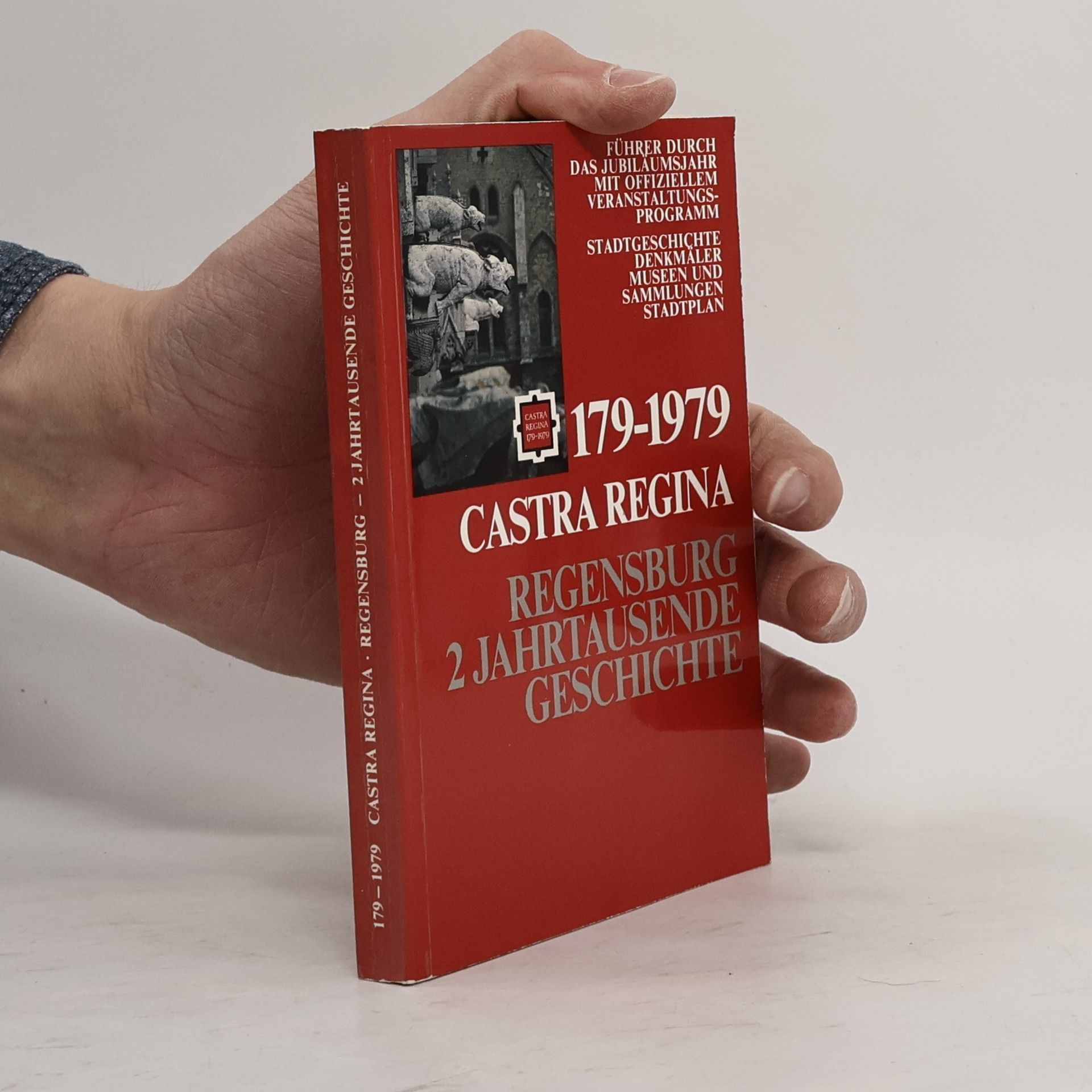 Kolektiv autorů Castra Regina. Regensburg 2 Jahrtausende Geschichte