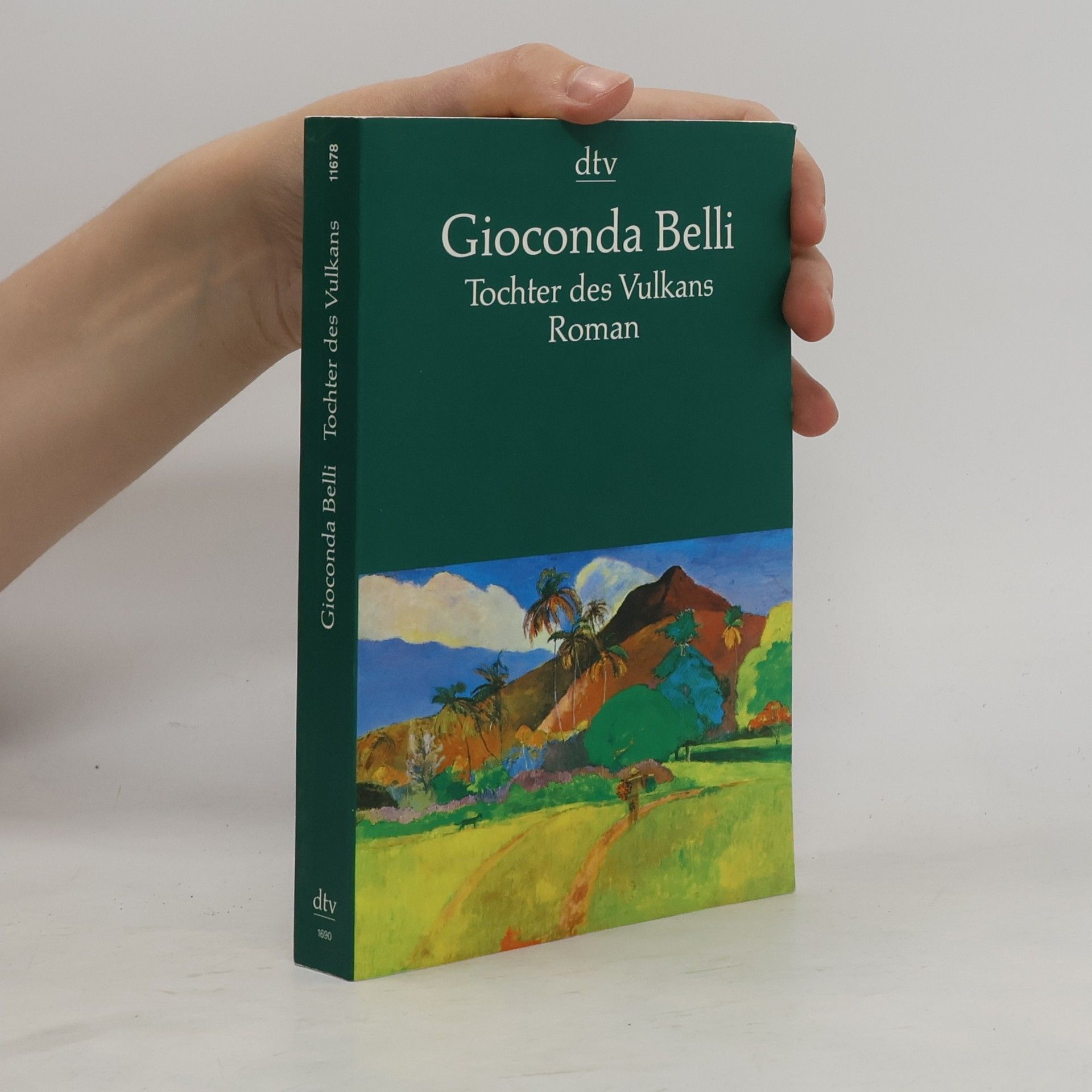 Gioconda Belli Tochter des Vulkans
