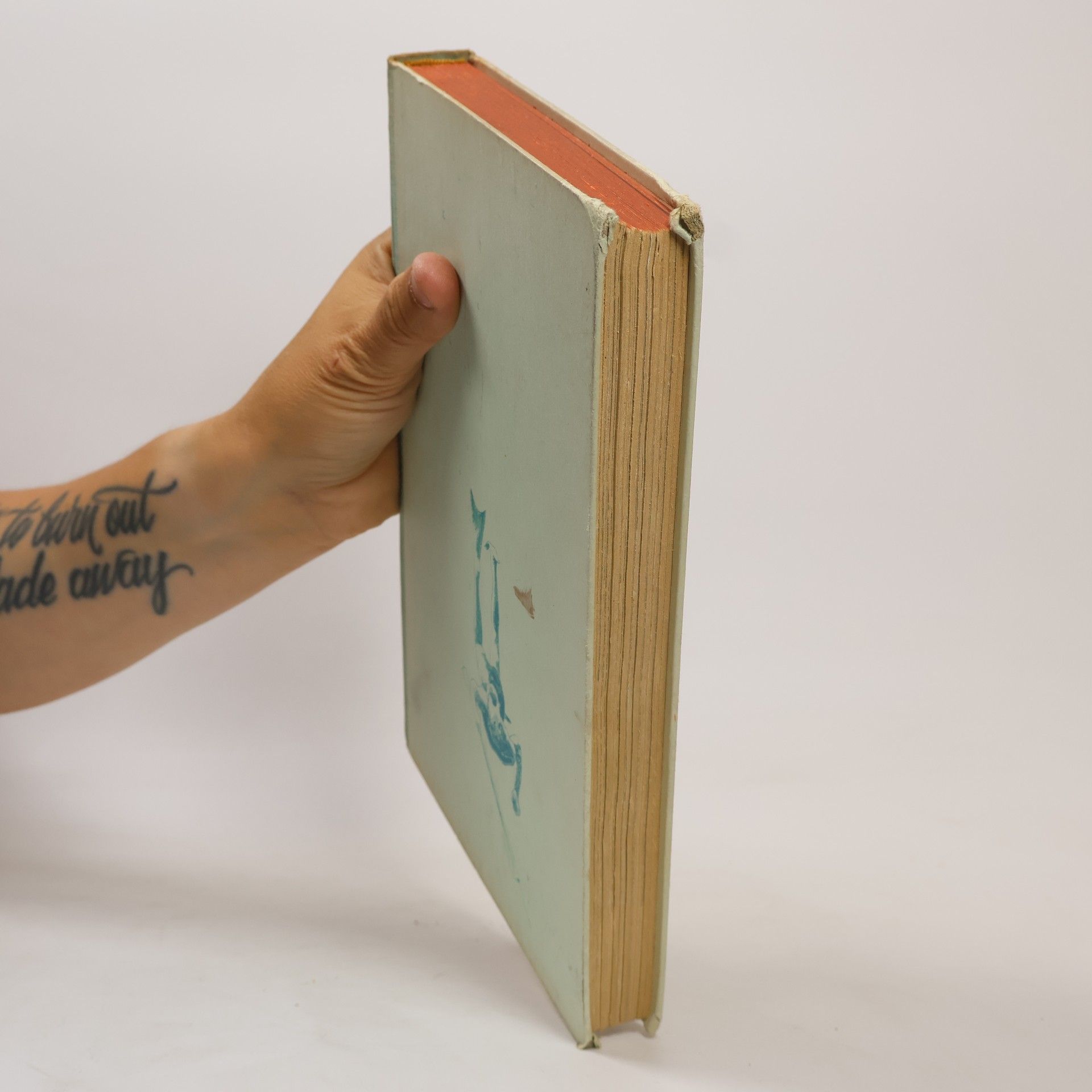 Hans Hass Unter korallen und haien