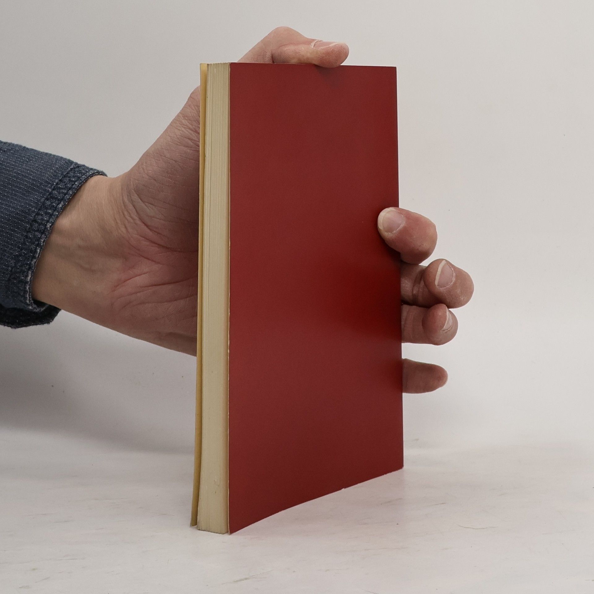 Kolektiv autorů The Album Picture Book of the Rijksmuseum Amsterdam