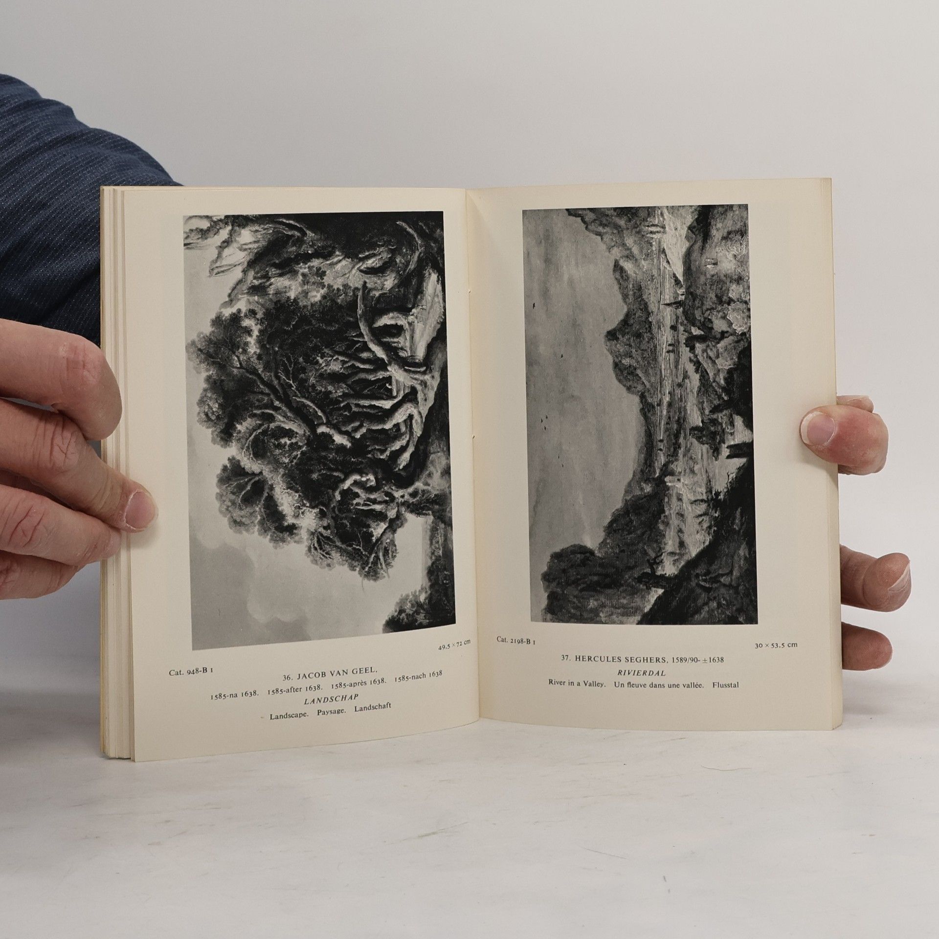 Kolektiv autorů The Album Picture Book of the Rijksmuseum Amsterdam