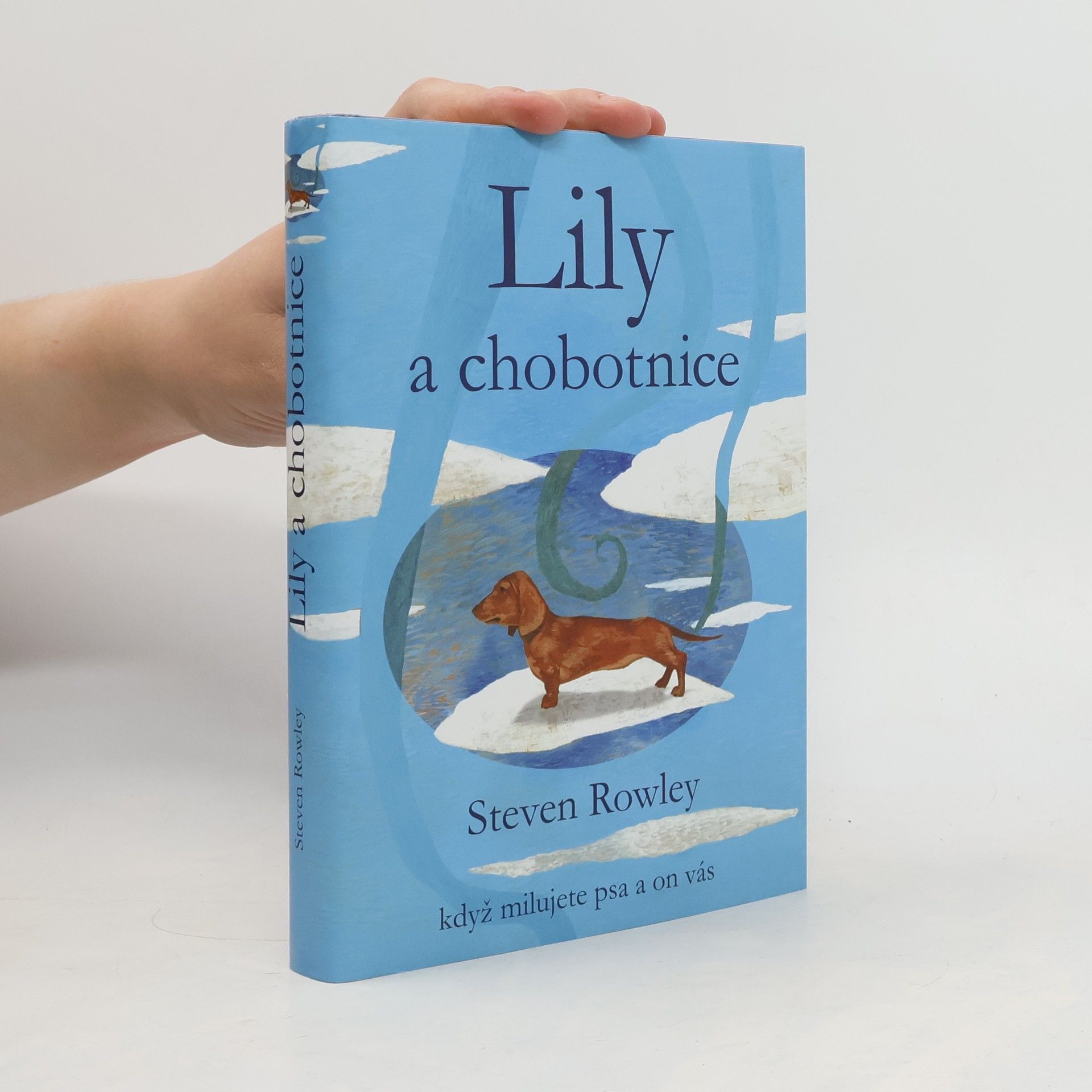 Steven Rowley Lily a chobotnice: Když milujete psa a on vás