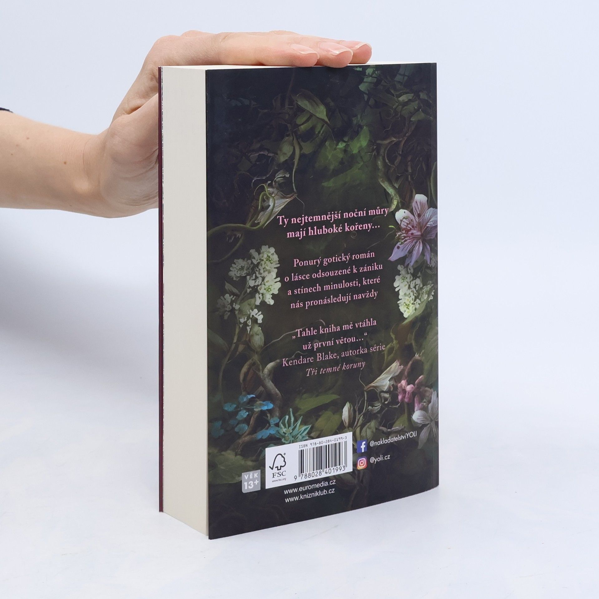 Erin A. Craig Dům kořenů a zmaru