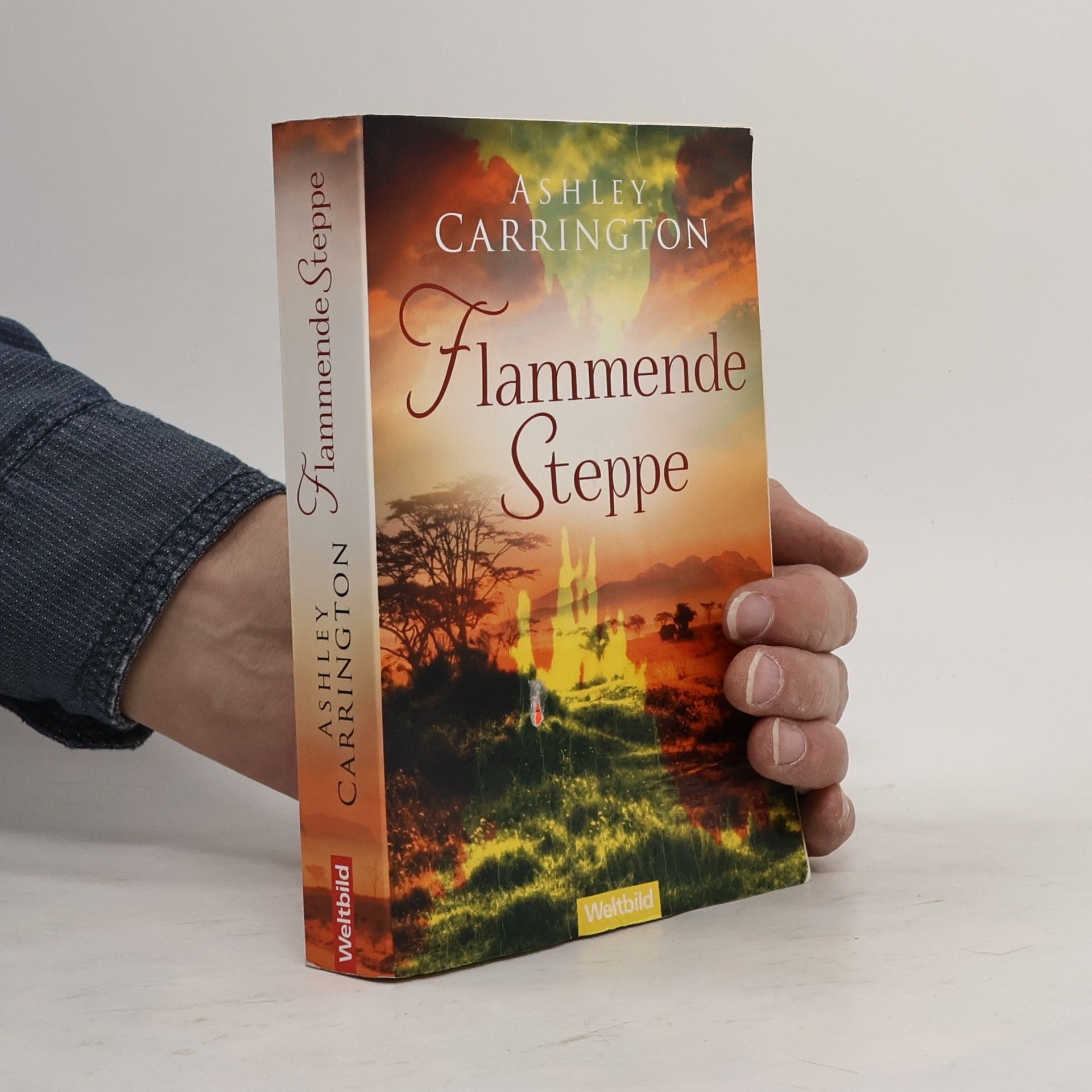 Rainer M. Schröder Flammende Steppe
