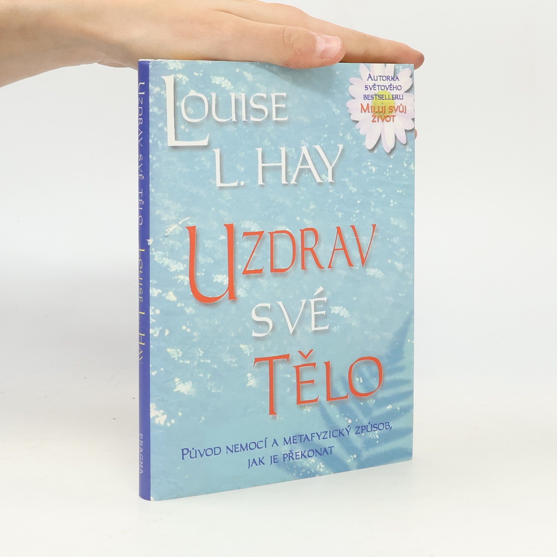 Louise Lynn Hay Uzdrav své tělo: Původ nemocí a metafyzický způsob, jak je překonat