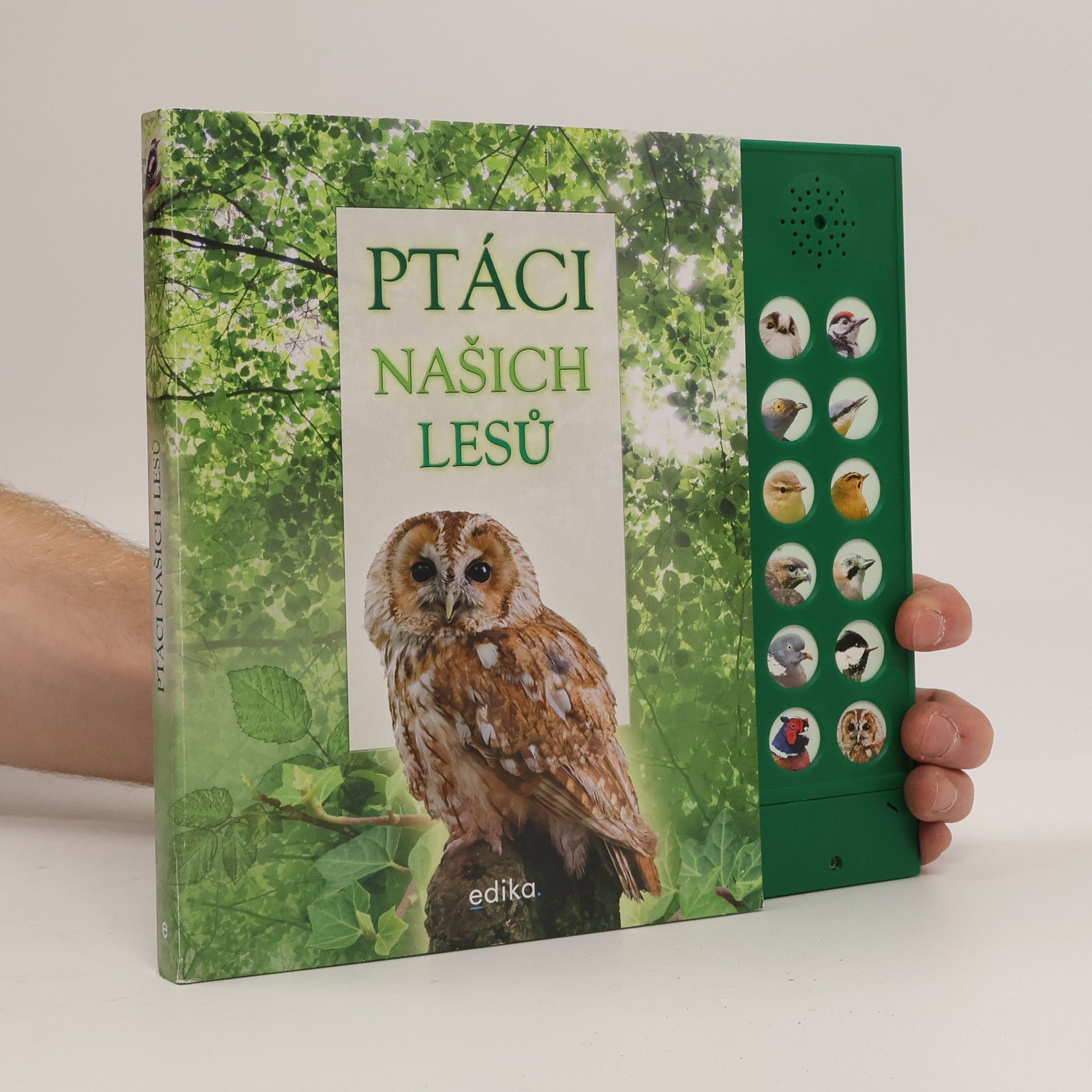 Andrea Pinnington Ptáci našich lesů