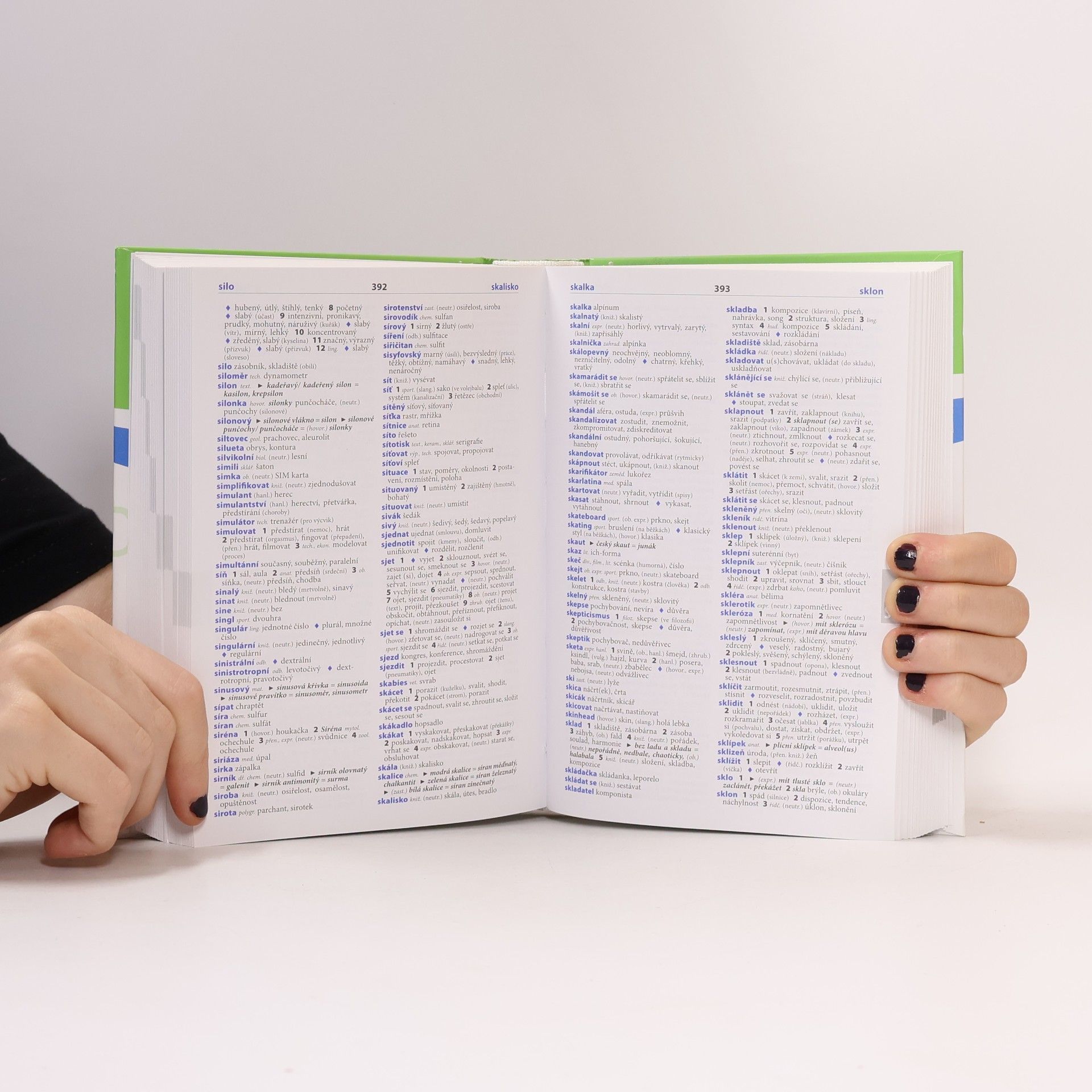 Collectif d'auteurs Slovník českých synonym a antonym