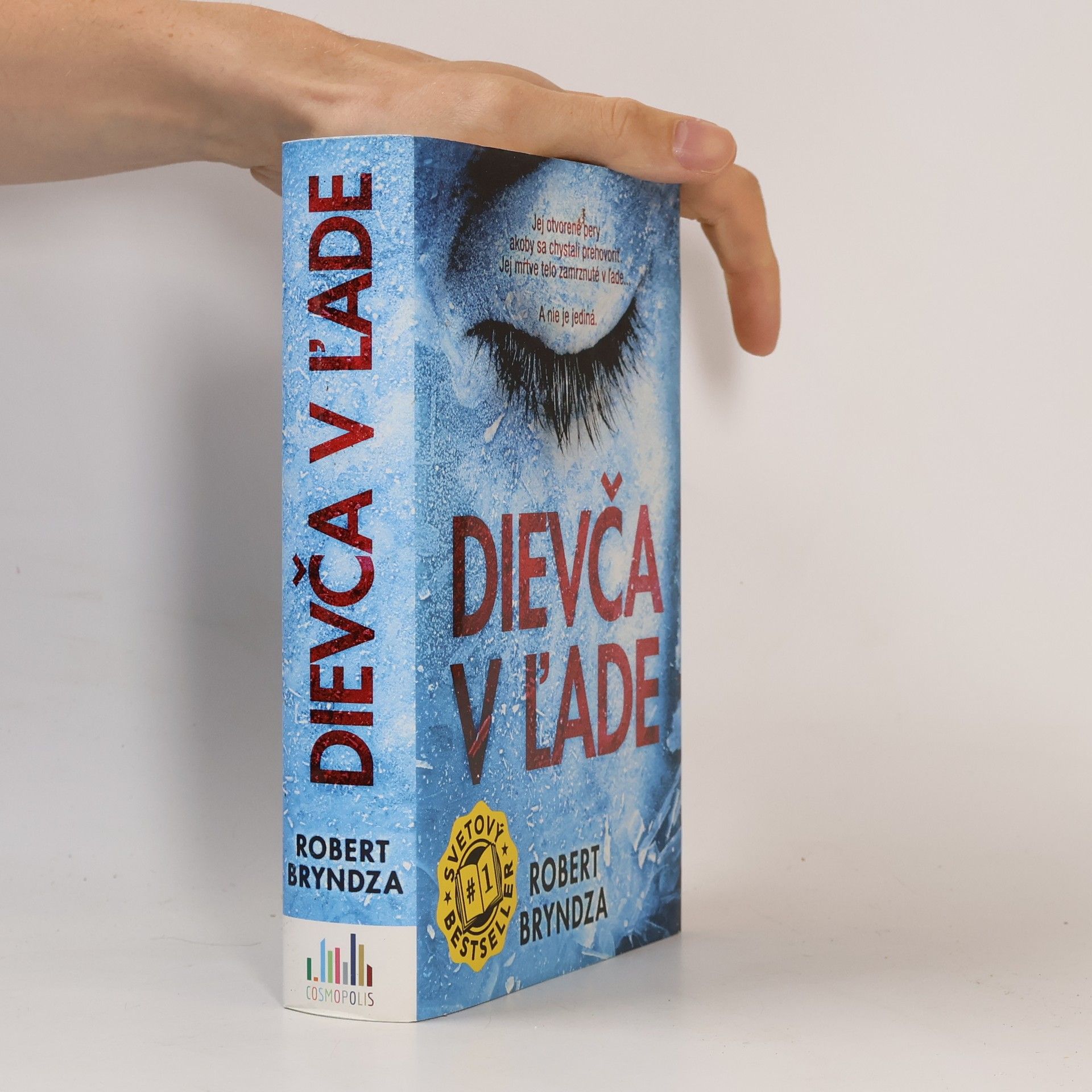 Robert Bryndza Dievča v ľade