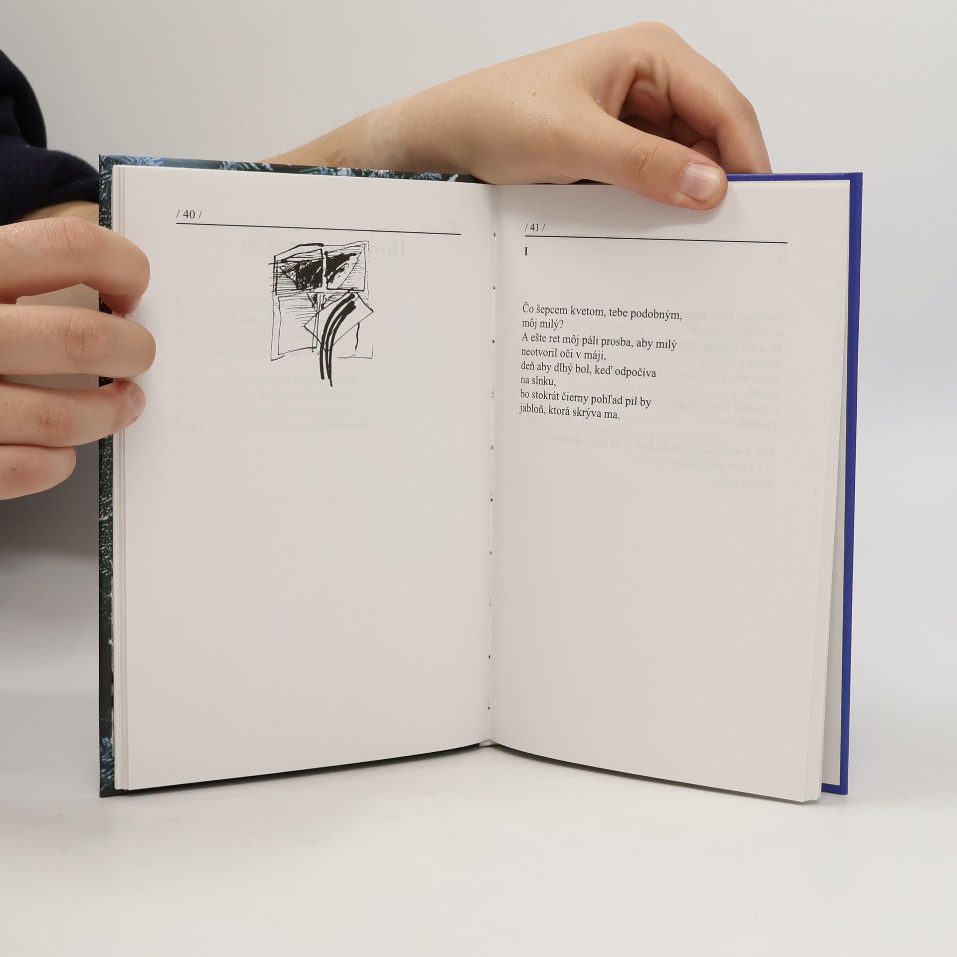 Rudolf Dilong Honolulu, pieseň labute