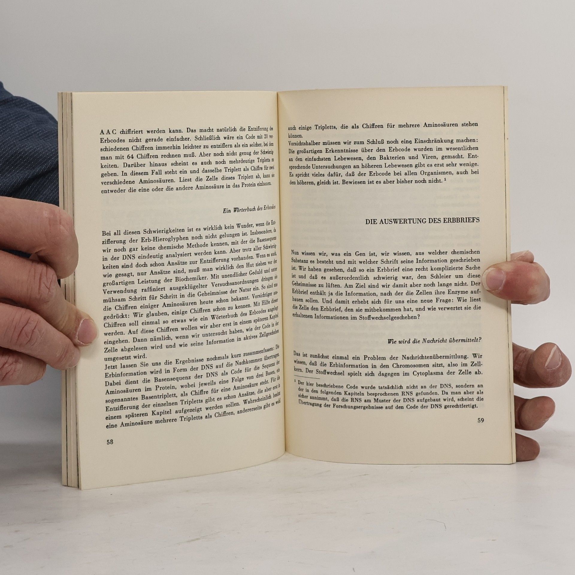 Walter Botsch Morsealphabet des Lebens