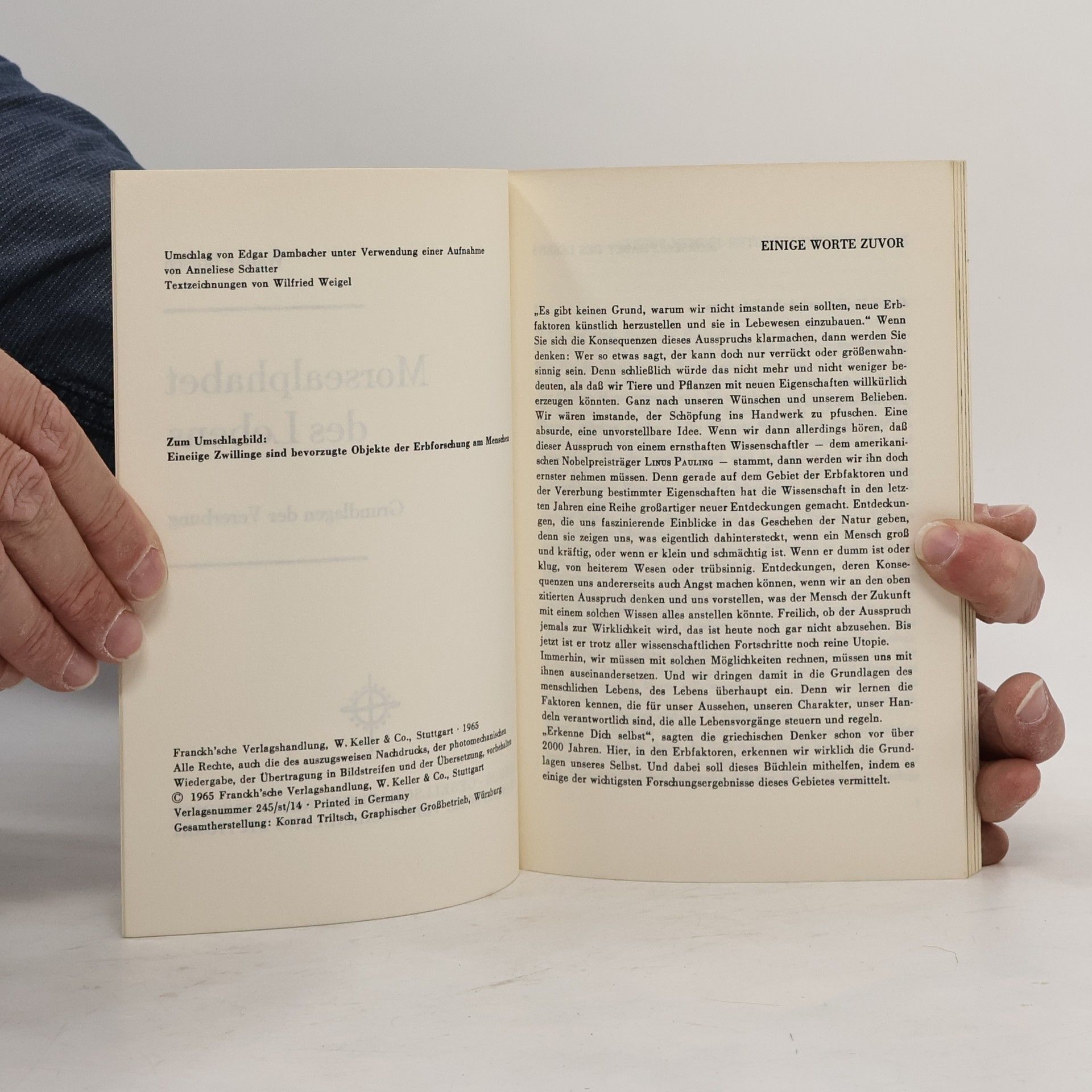 Walter Botsch Morsealphabet des Lebens