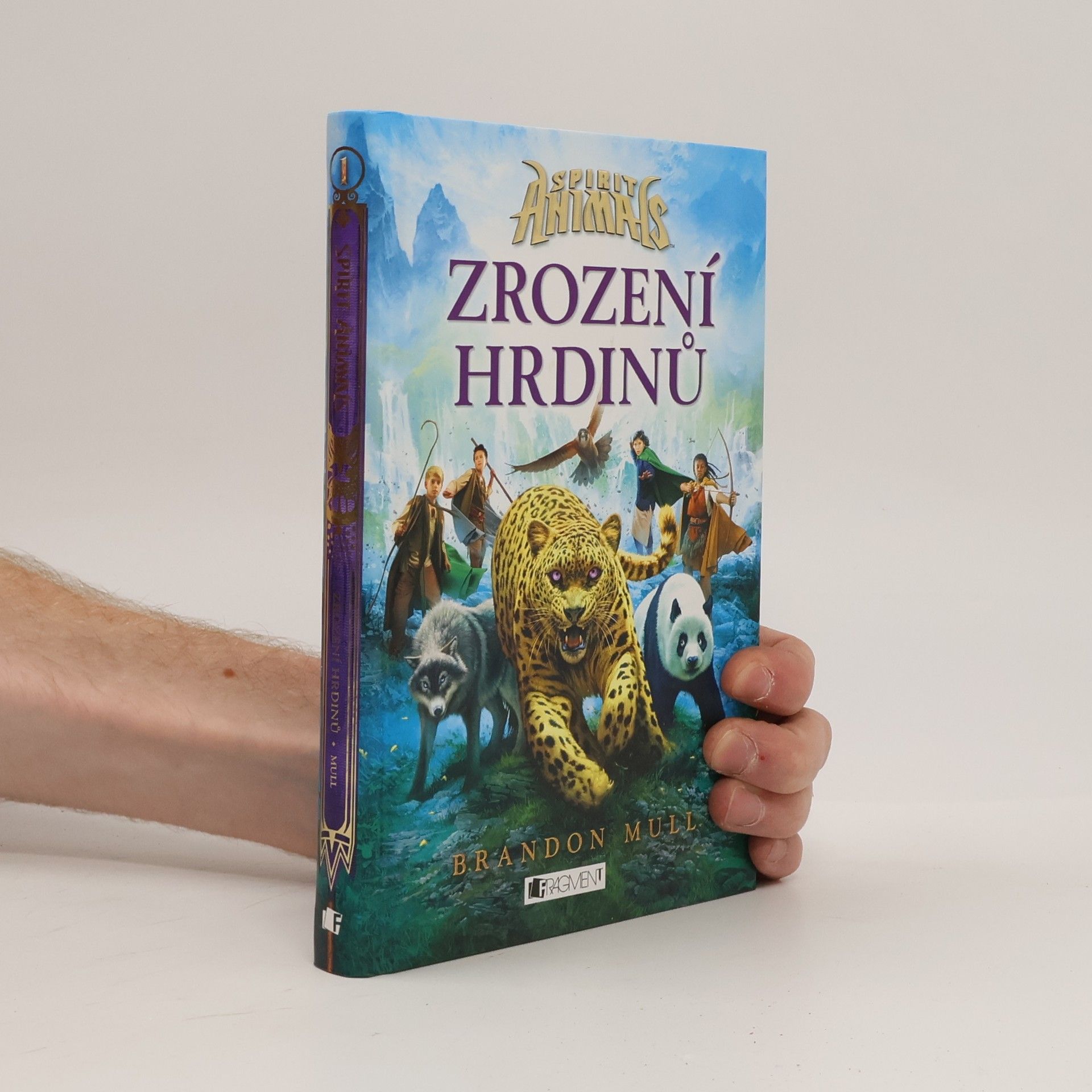 Brandon Mull Zrození hrdinů