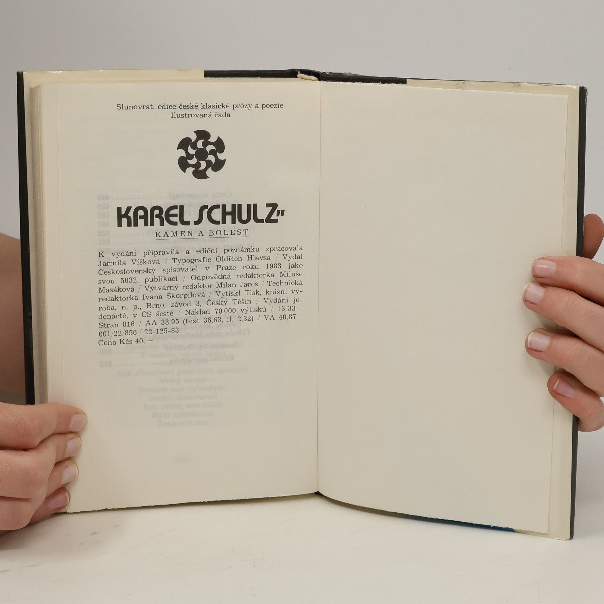 Karel Schulz Kámen a bolest