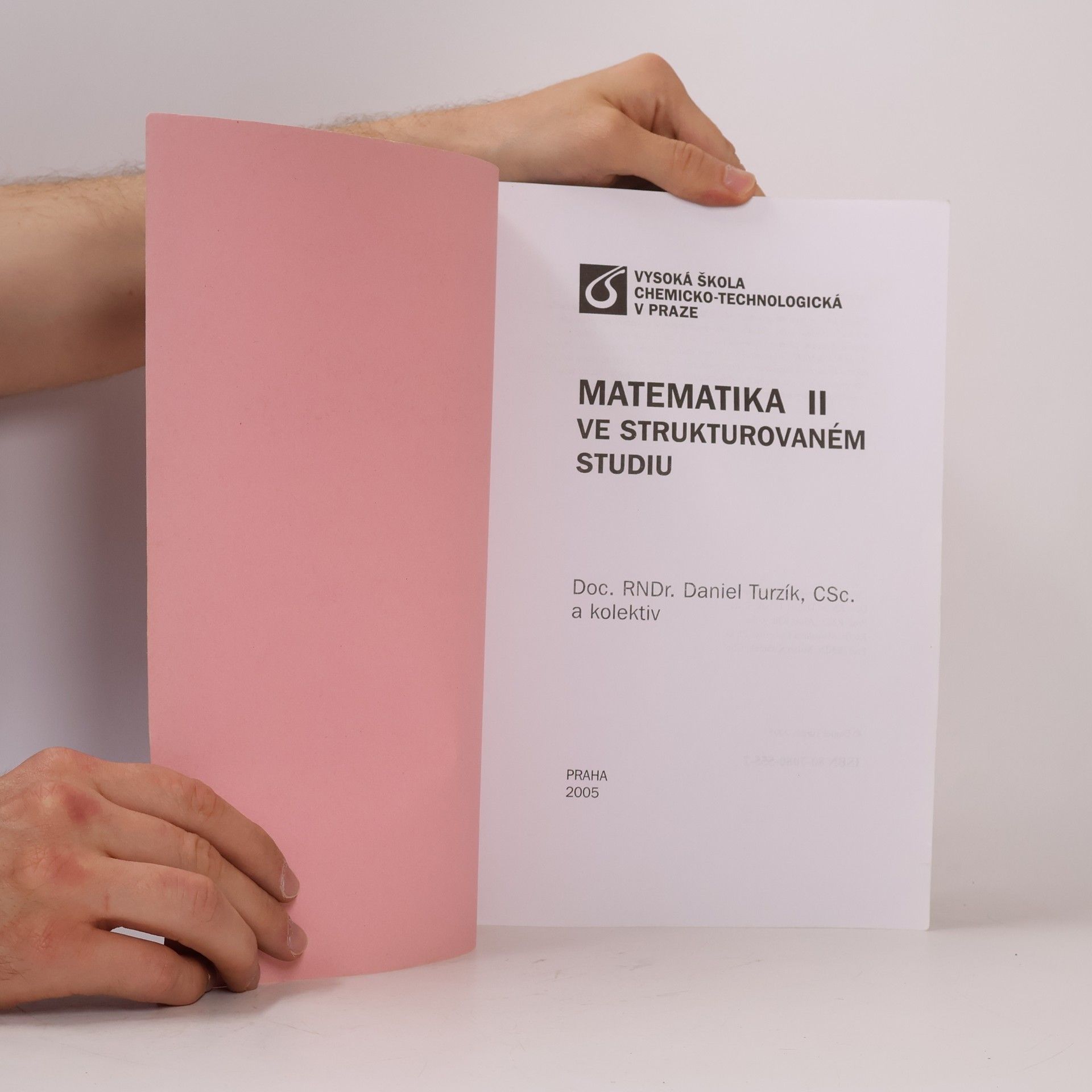 Daniel Turzík Matematika II ve strukturovaném studiu