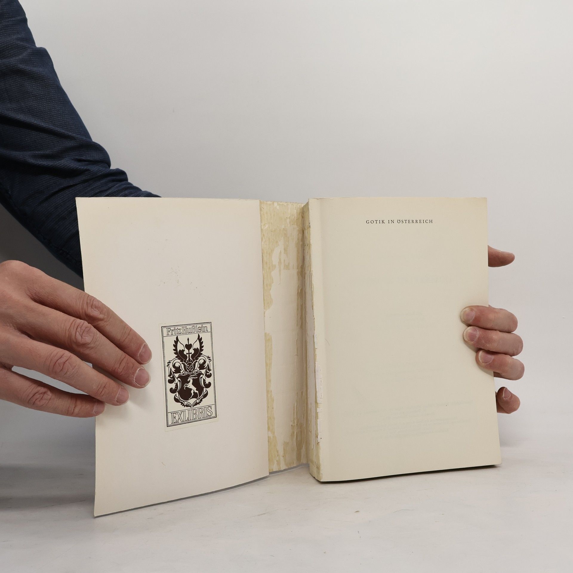 Autorenkollektiv Gotik in Österreich