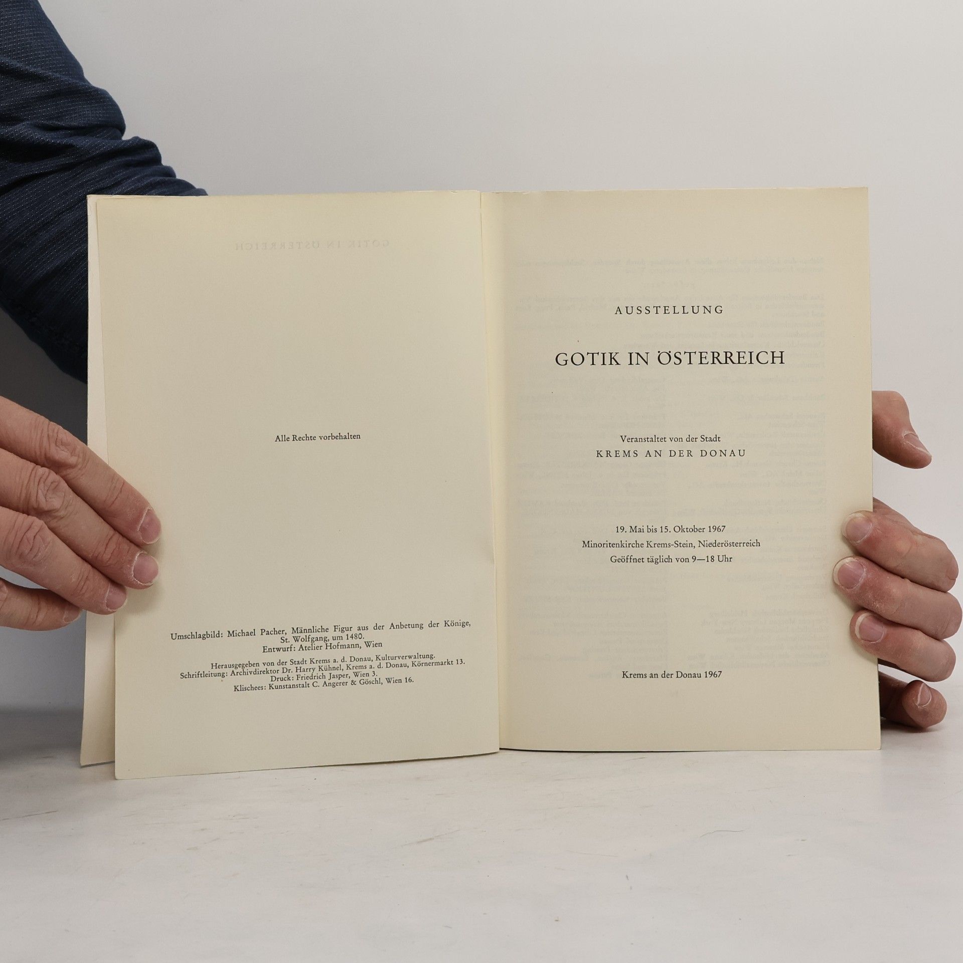 Autorenkollektiv Gotik in Österreich
