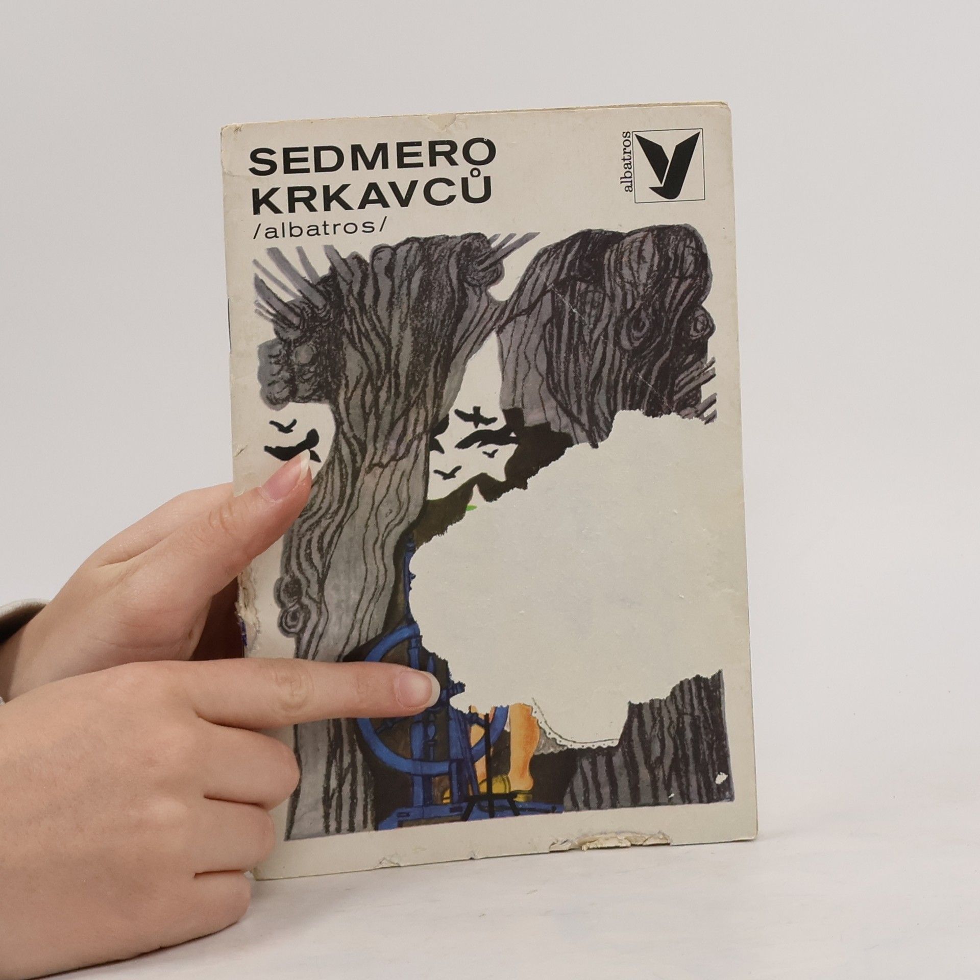Božena Němcová Sedmero krkavců