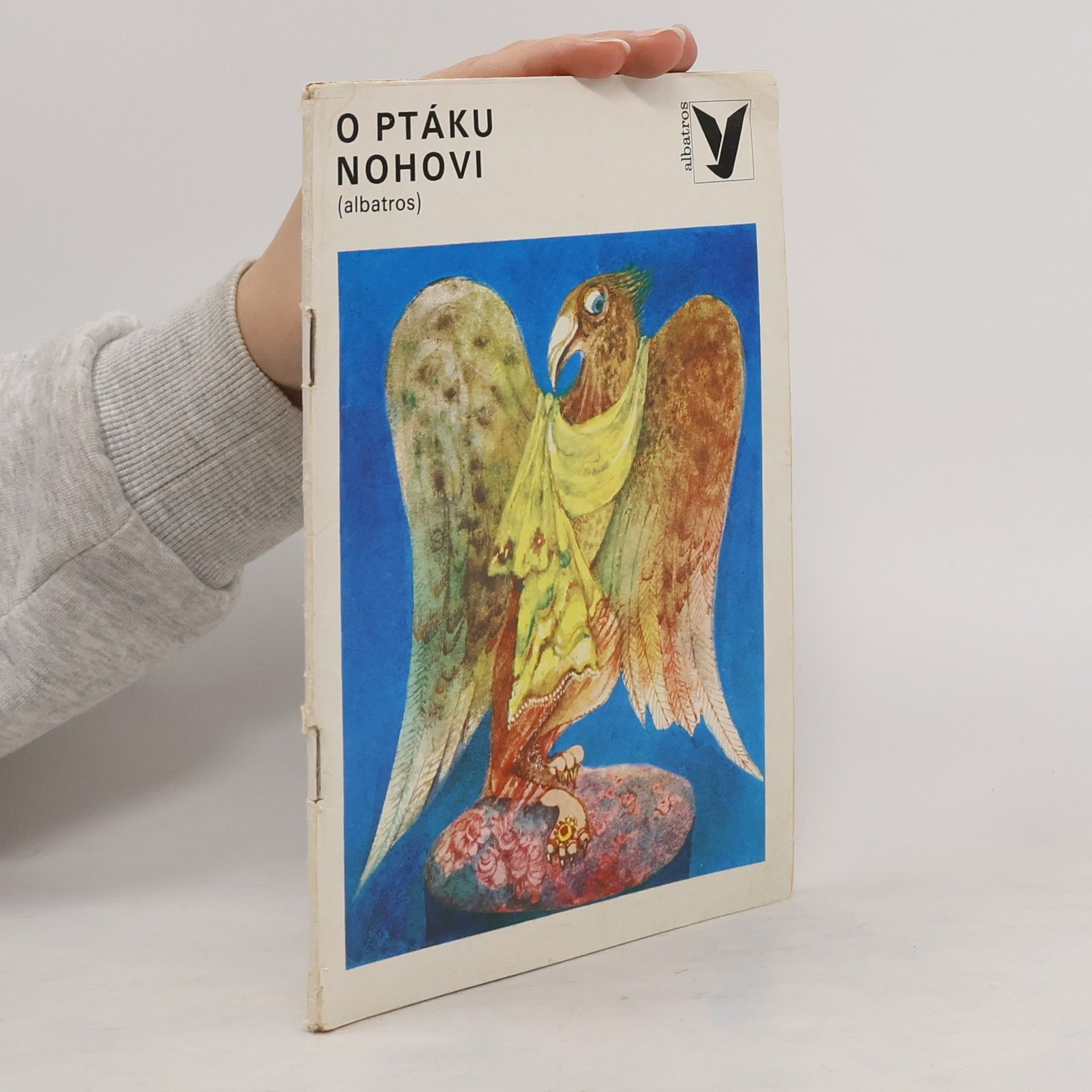 Kolektiv autorů O ptáku Nohovi