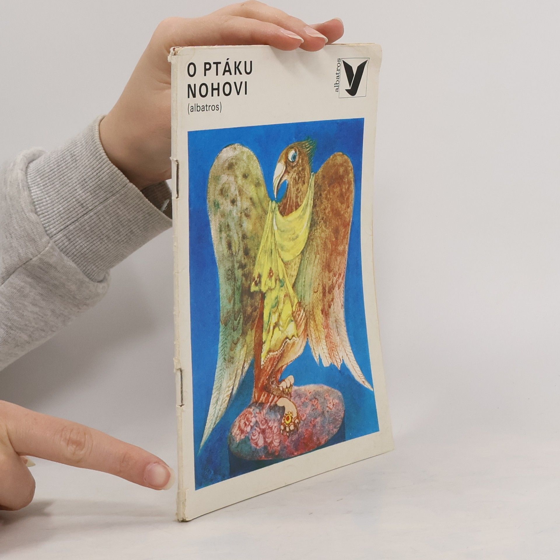 Kolektiv autorů O ptáku Nohovi