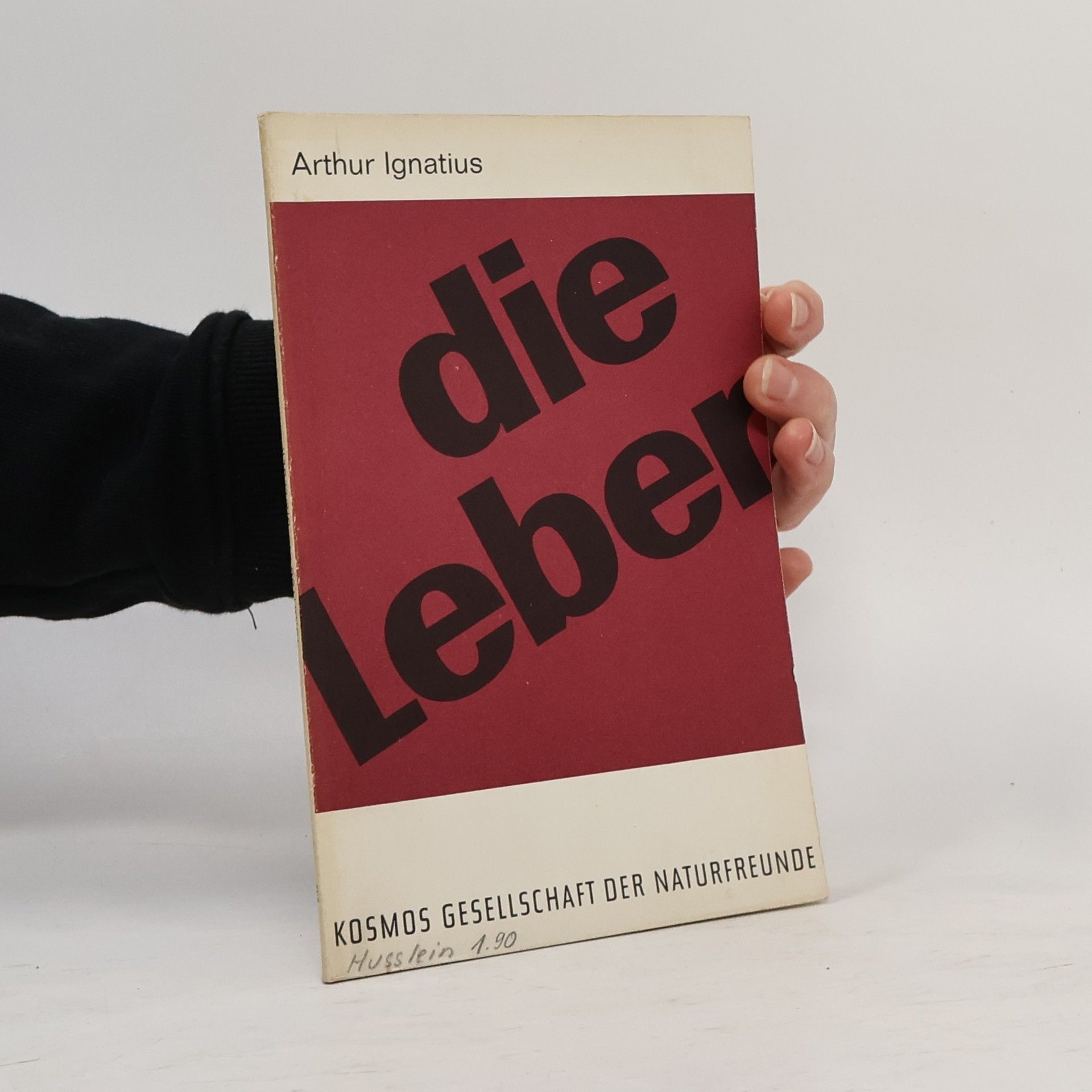 Arthur Ignatius Die Leber