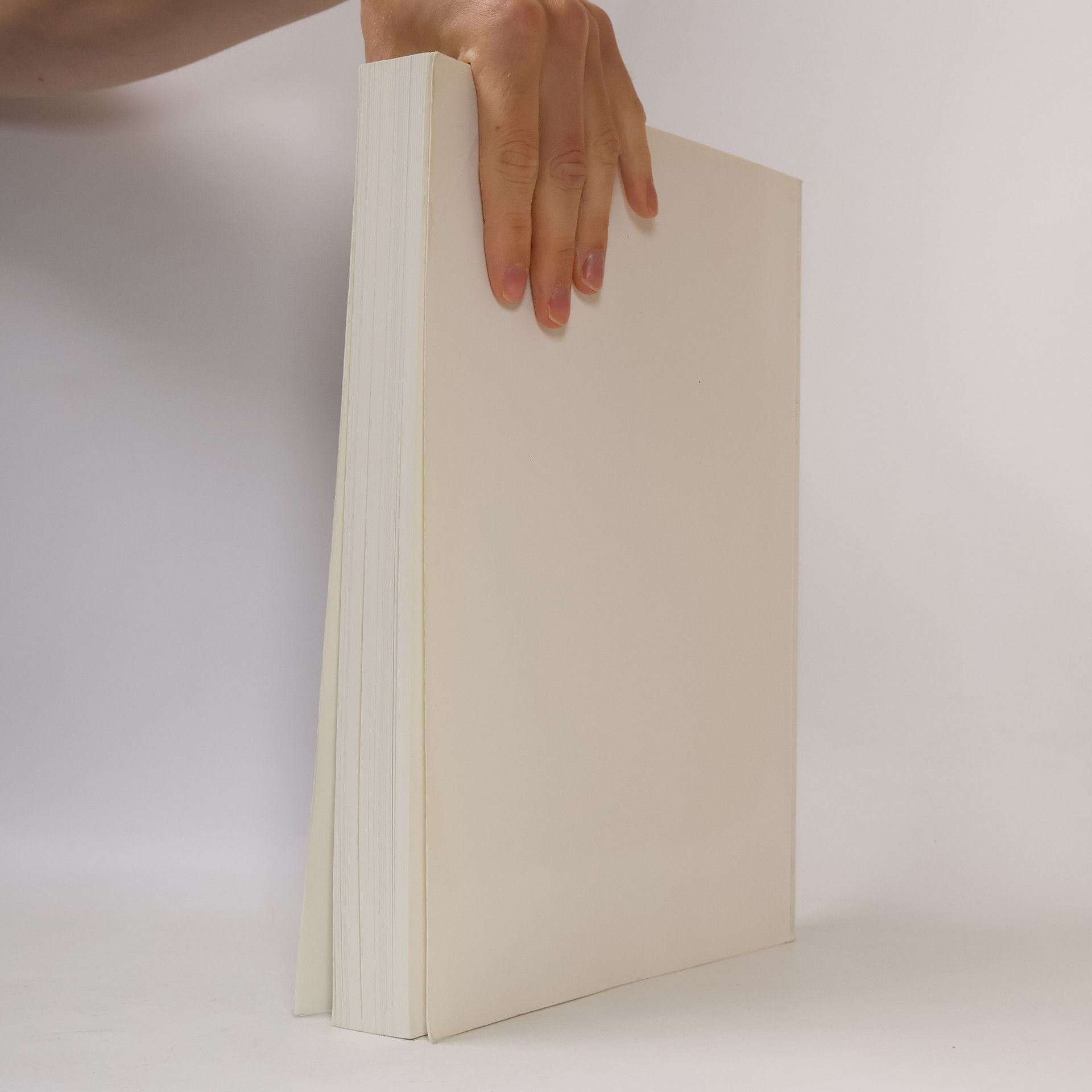 Autorenkollektiv Porzellan : Kunst und Design 1889 bis 1939 : vom Jugendstil zum Funktionalismus