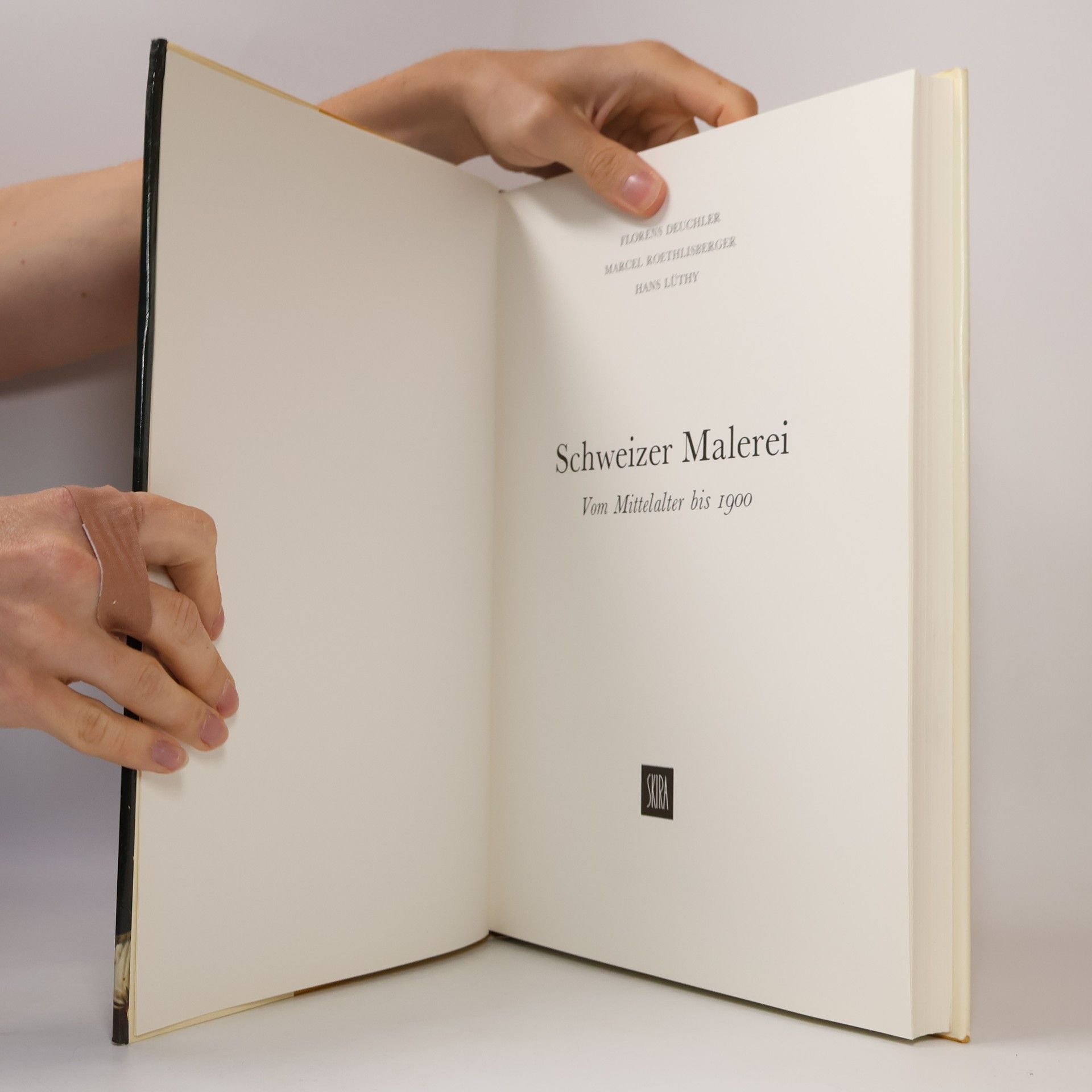 Autorenkollektiv Schweizer Malerei