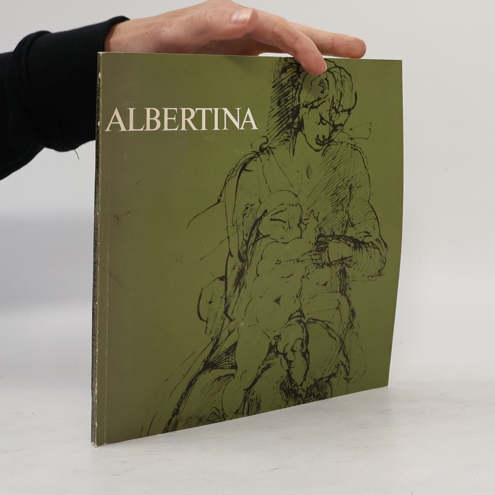 Kolektiv autorů Albertina