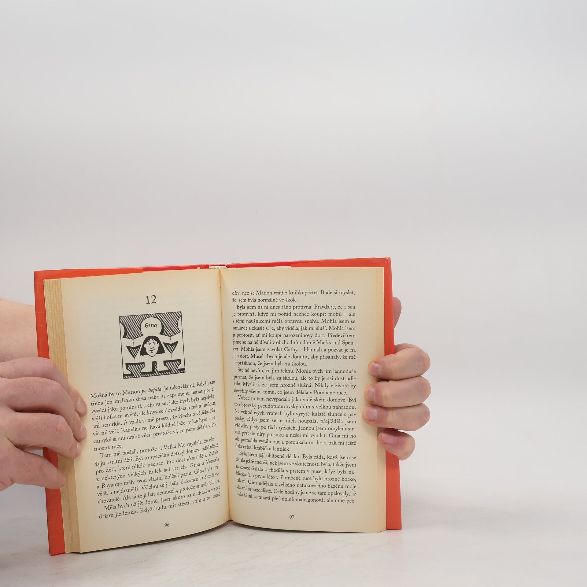 Jacqueline Wilson Holka z popelnice