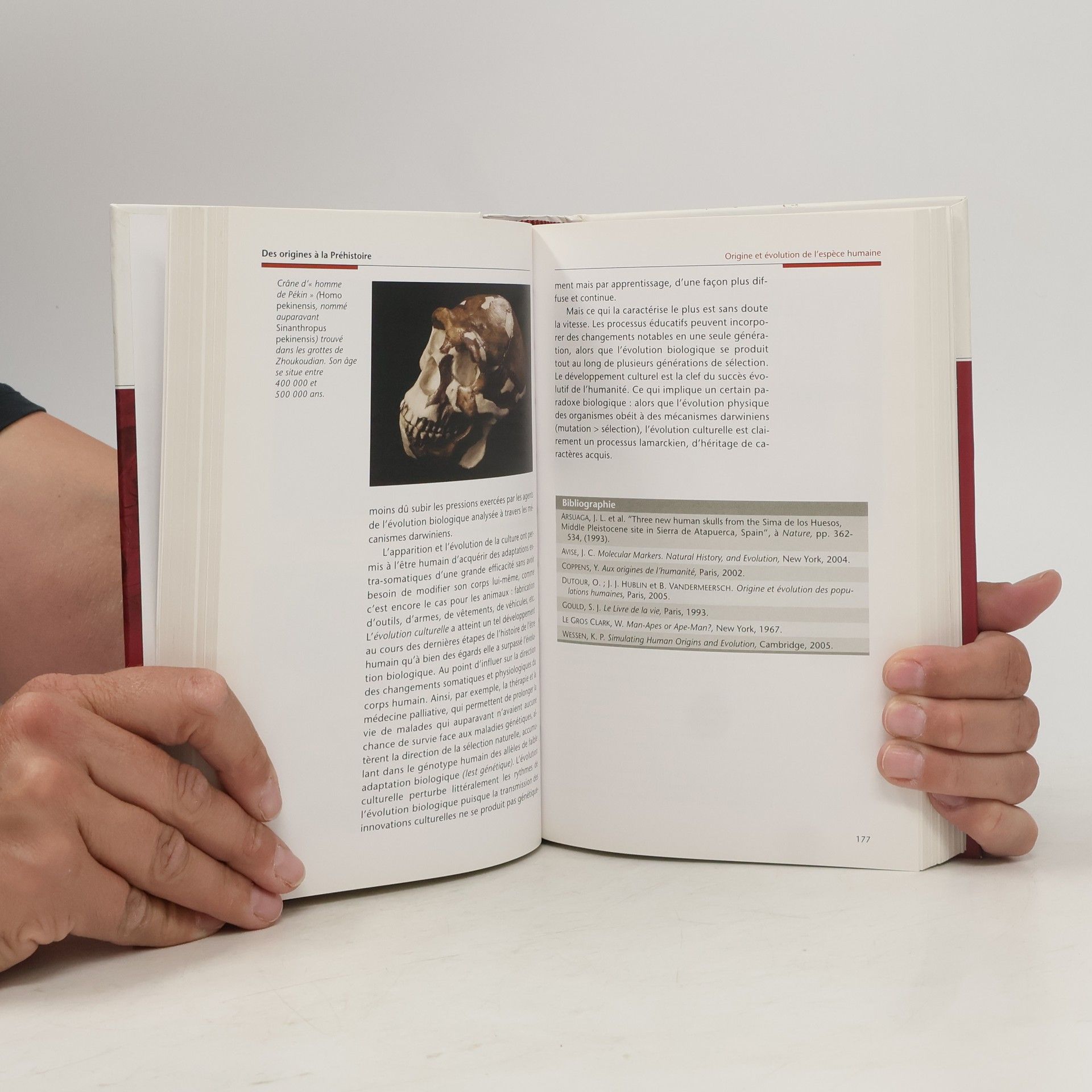 Autorenkollektiv Histoire universelle 1