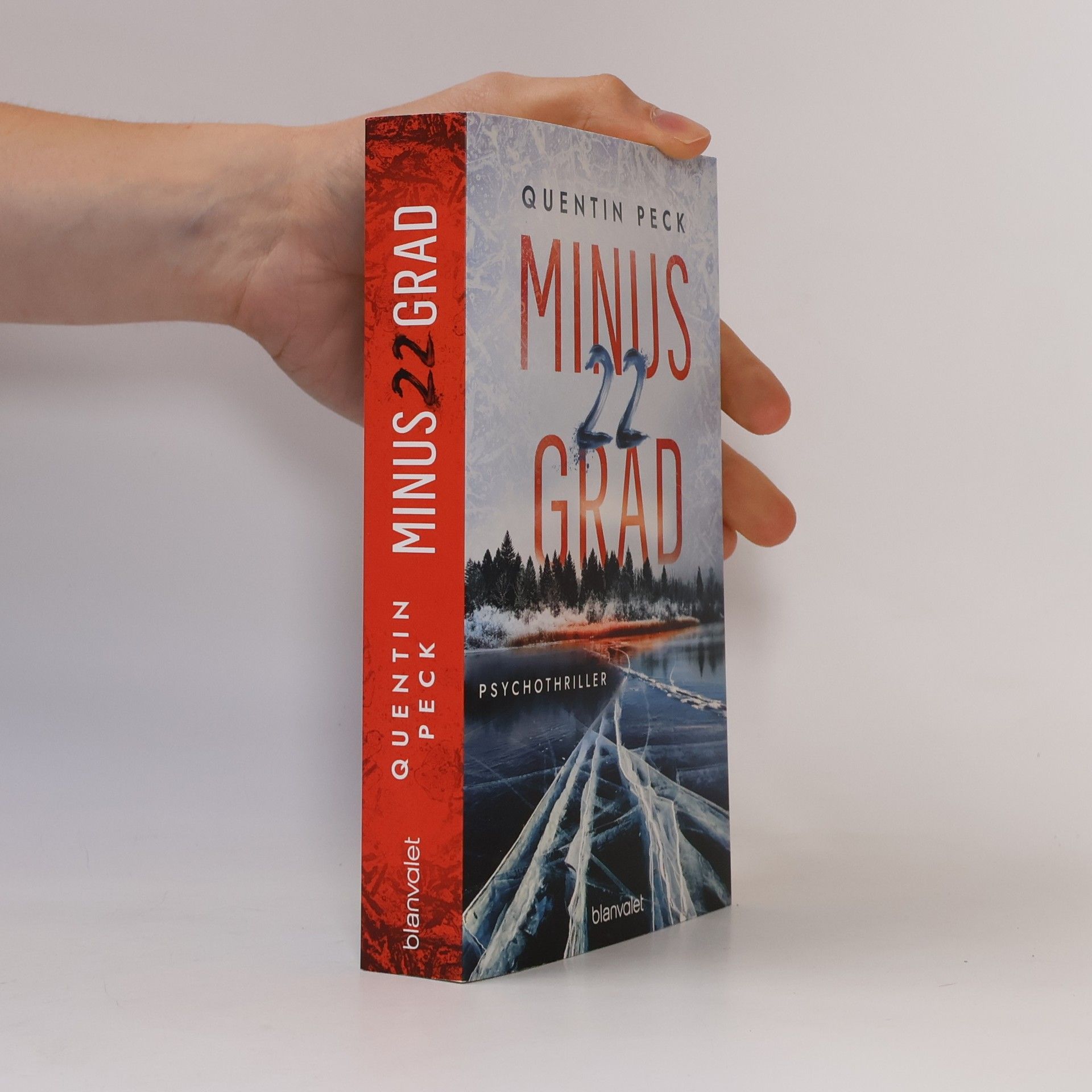Quentin Peck Minus 22 Grad. Psychothriller