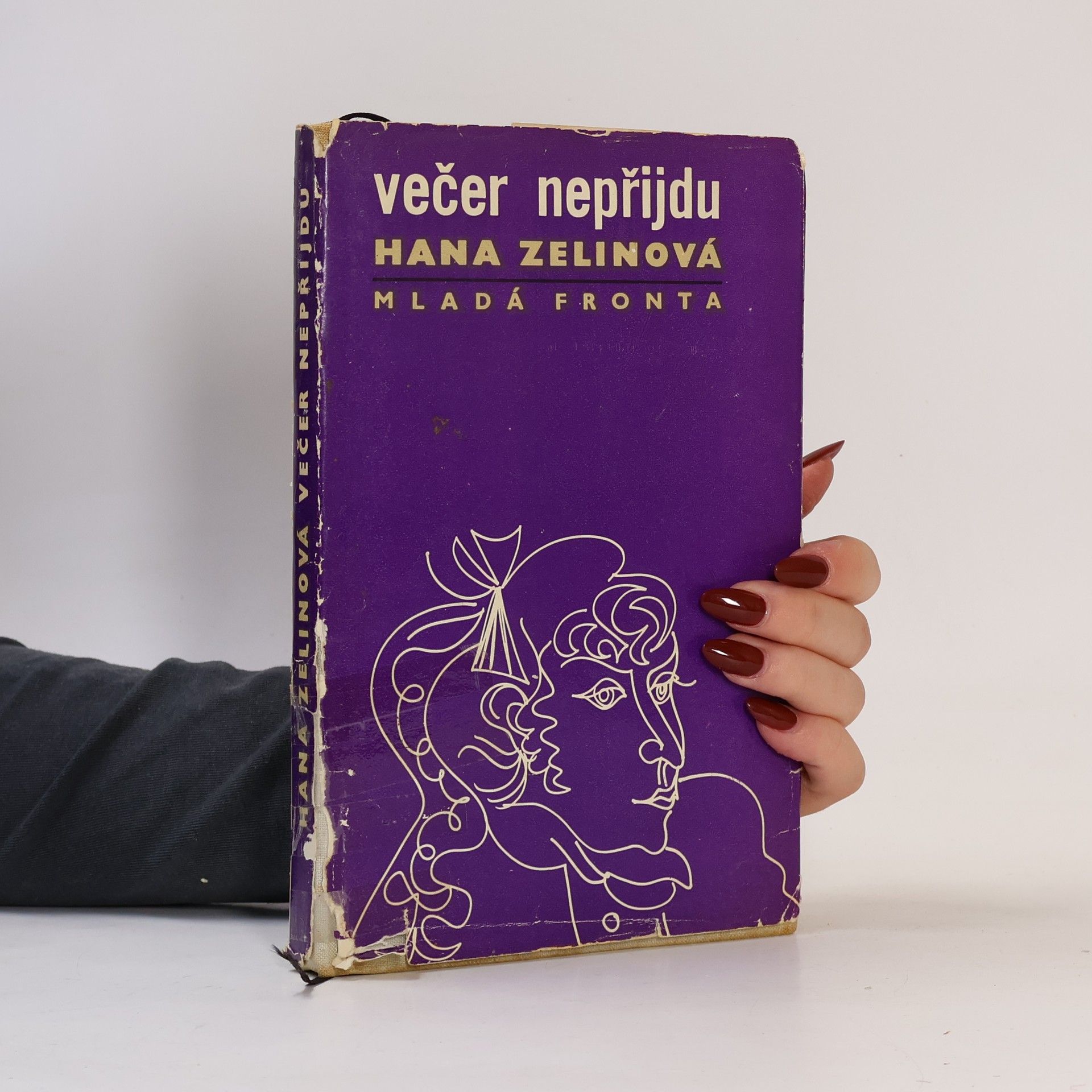 Zdenka Pátková Večer nepřijdu