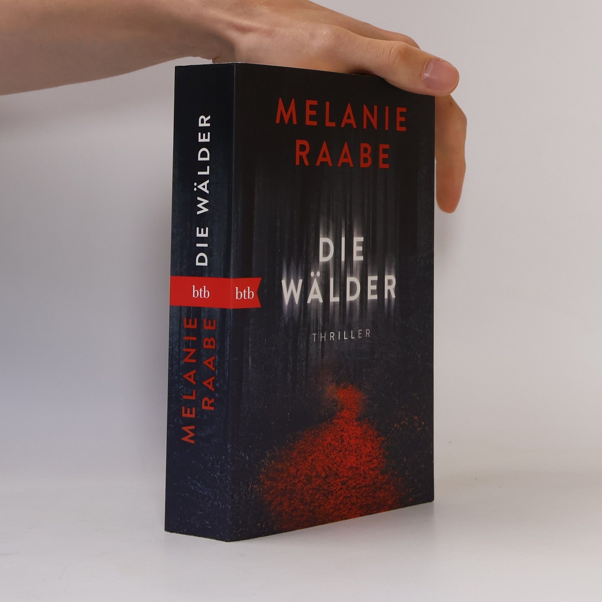 Melanie Raabe Die Wälder