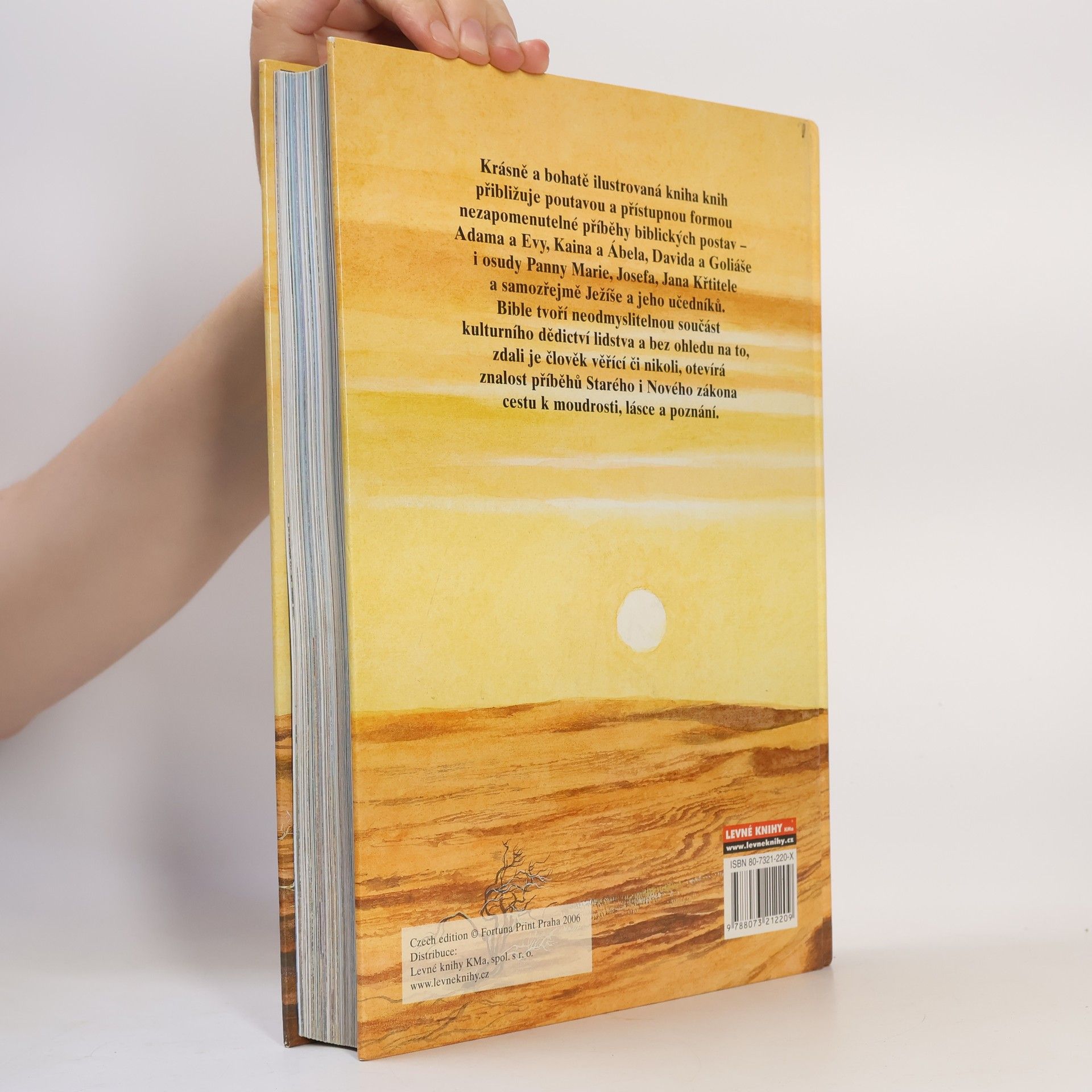 Kolektiv autorů Dětská ilustrovaná bible
