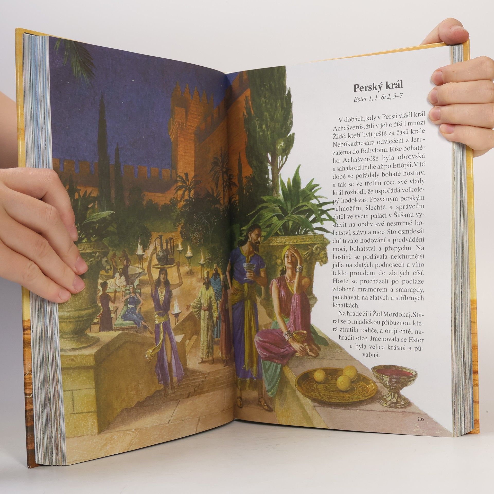 Kolektiv autorů Dětská ilustrovaná bible