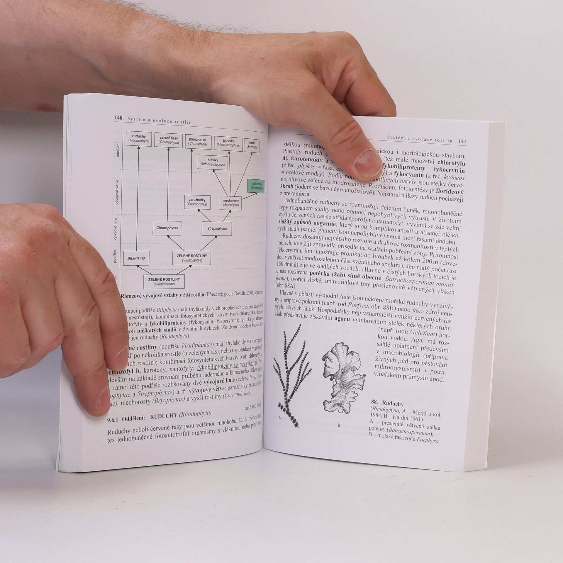 Lubomír Kincl Biologie rostlin: Pro 1. ročník gymnázií