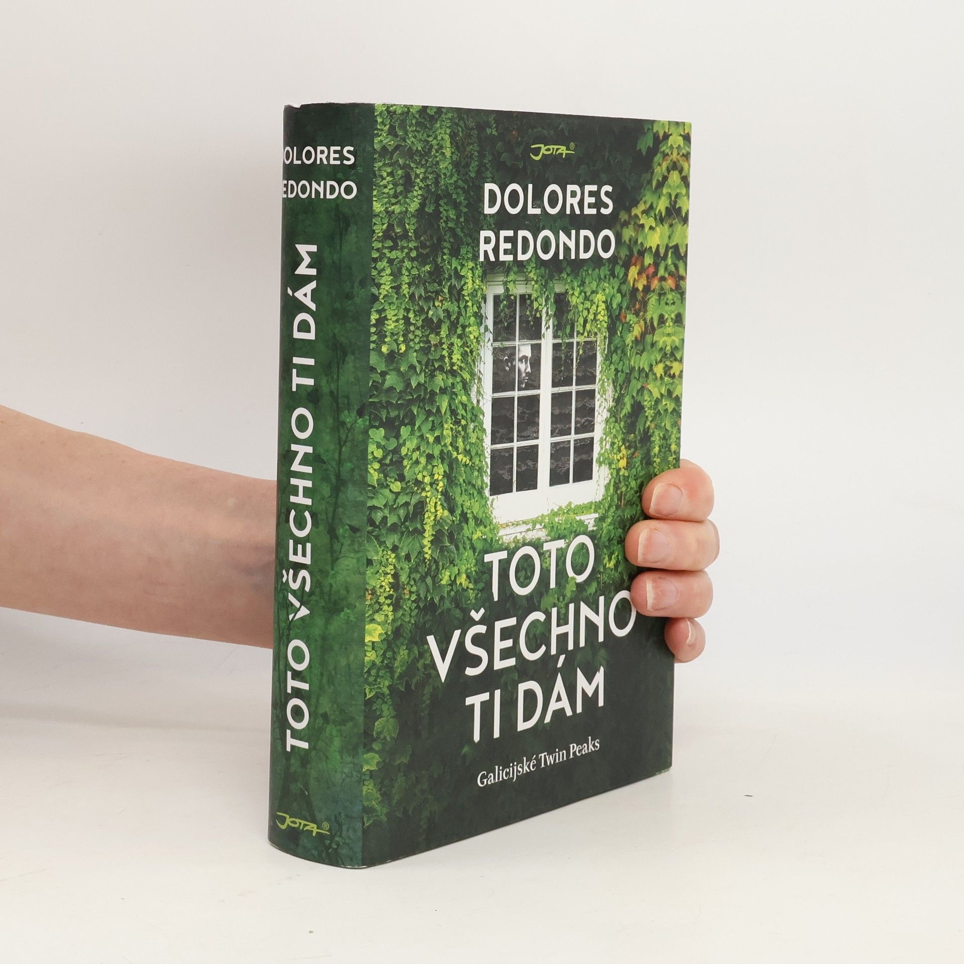Dolores Redondo Toto všechno ti dám