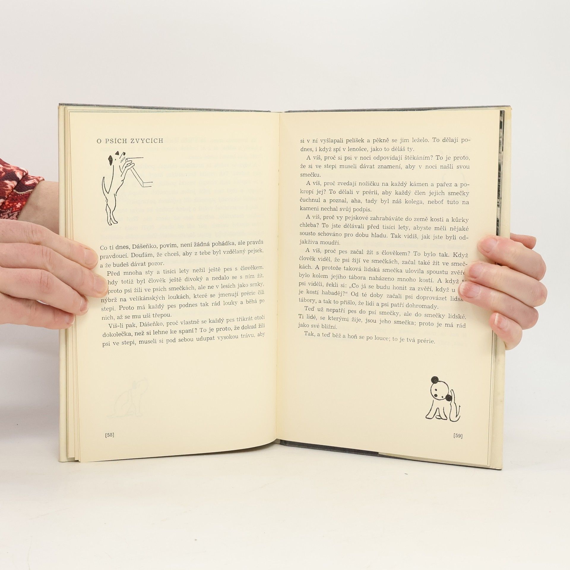 Karel Čapek Dášeňka čili Život štěněte