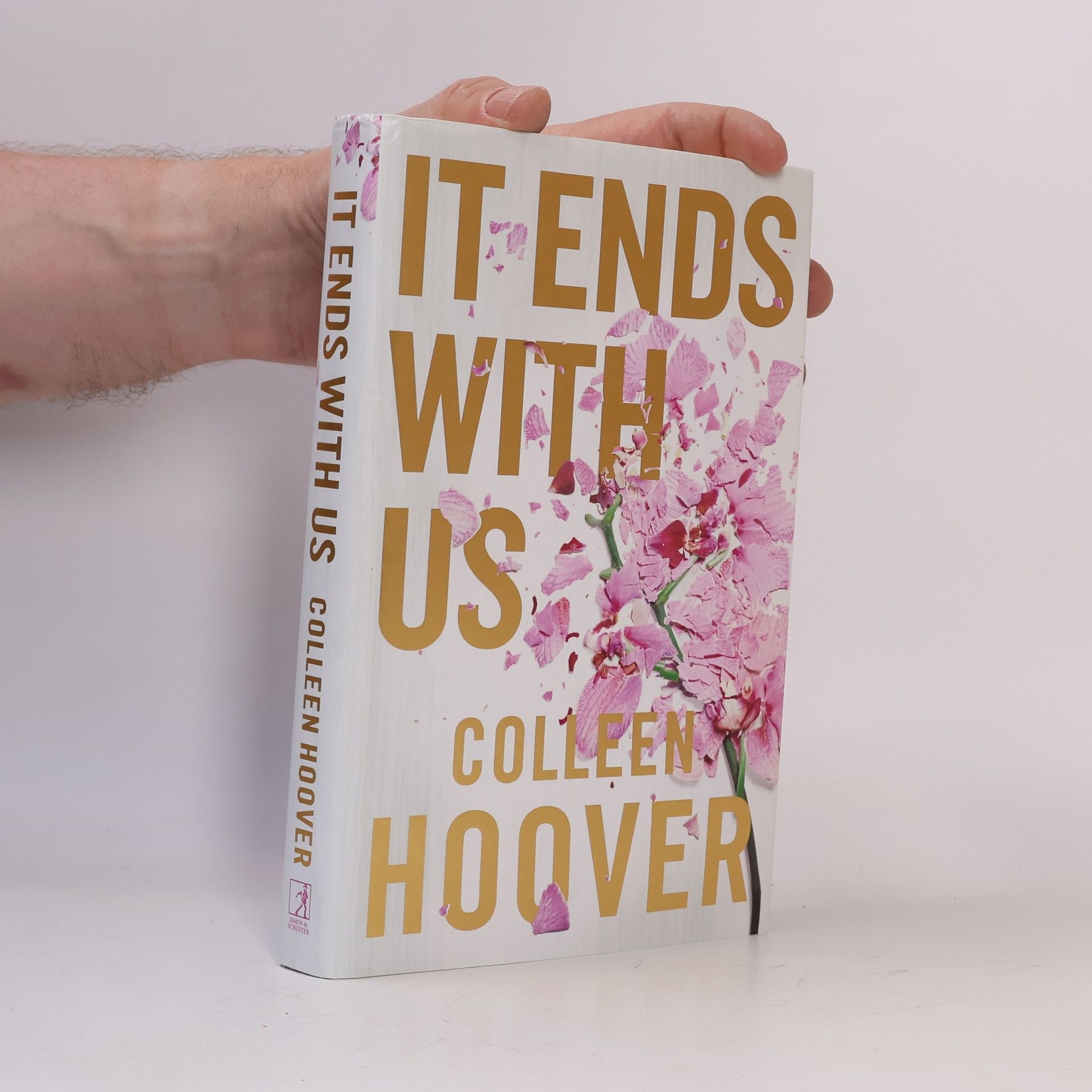 Colleen Hoover It Ends With Us
