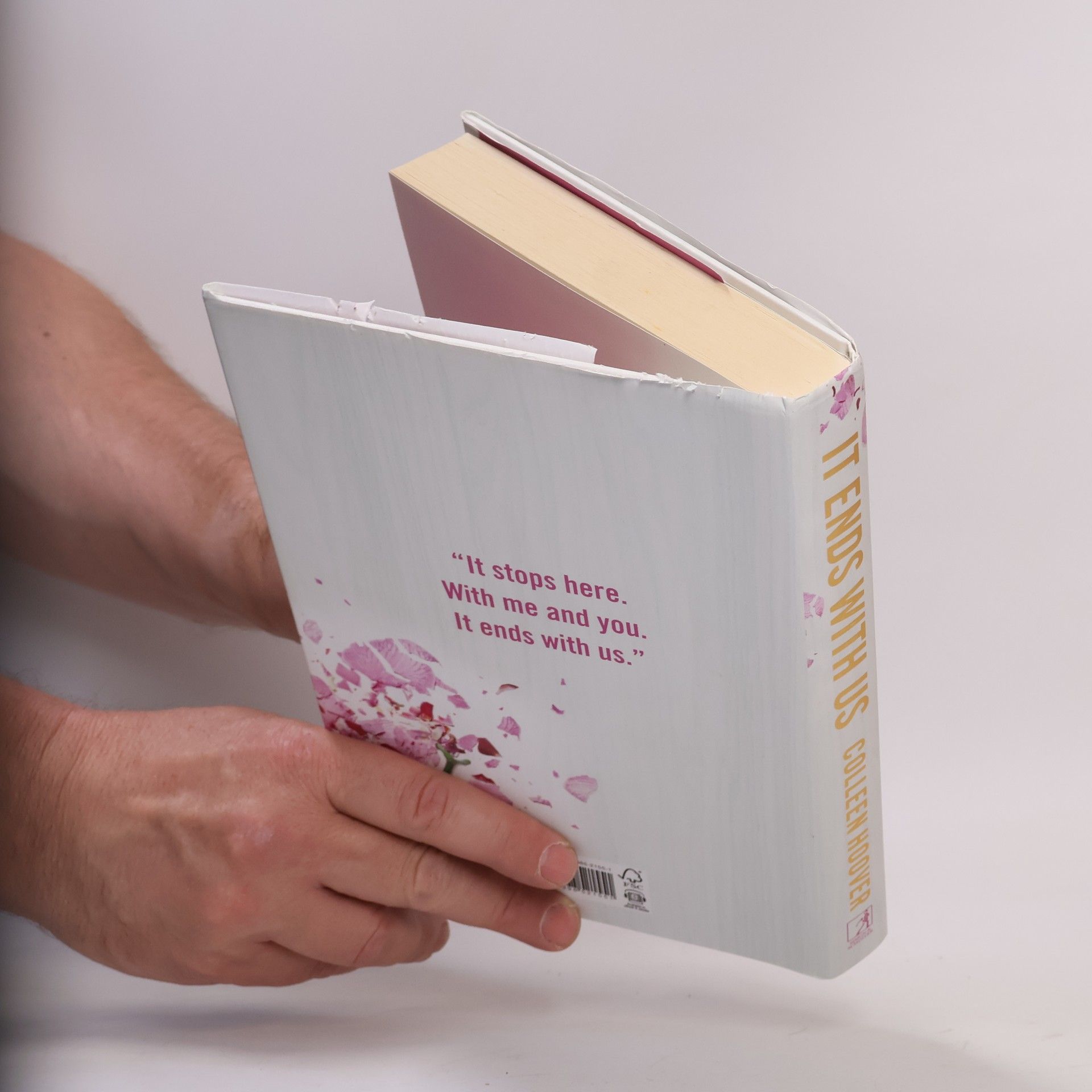 Colleen Hoover It Ends With Us