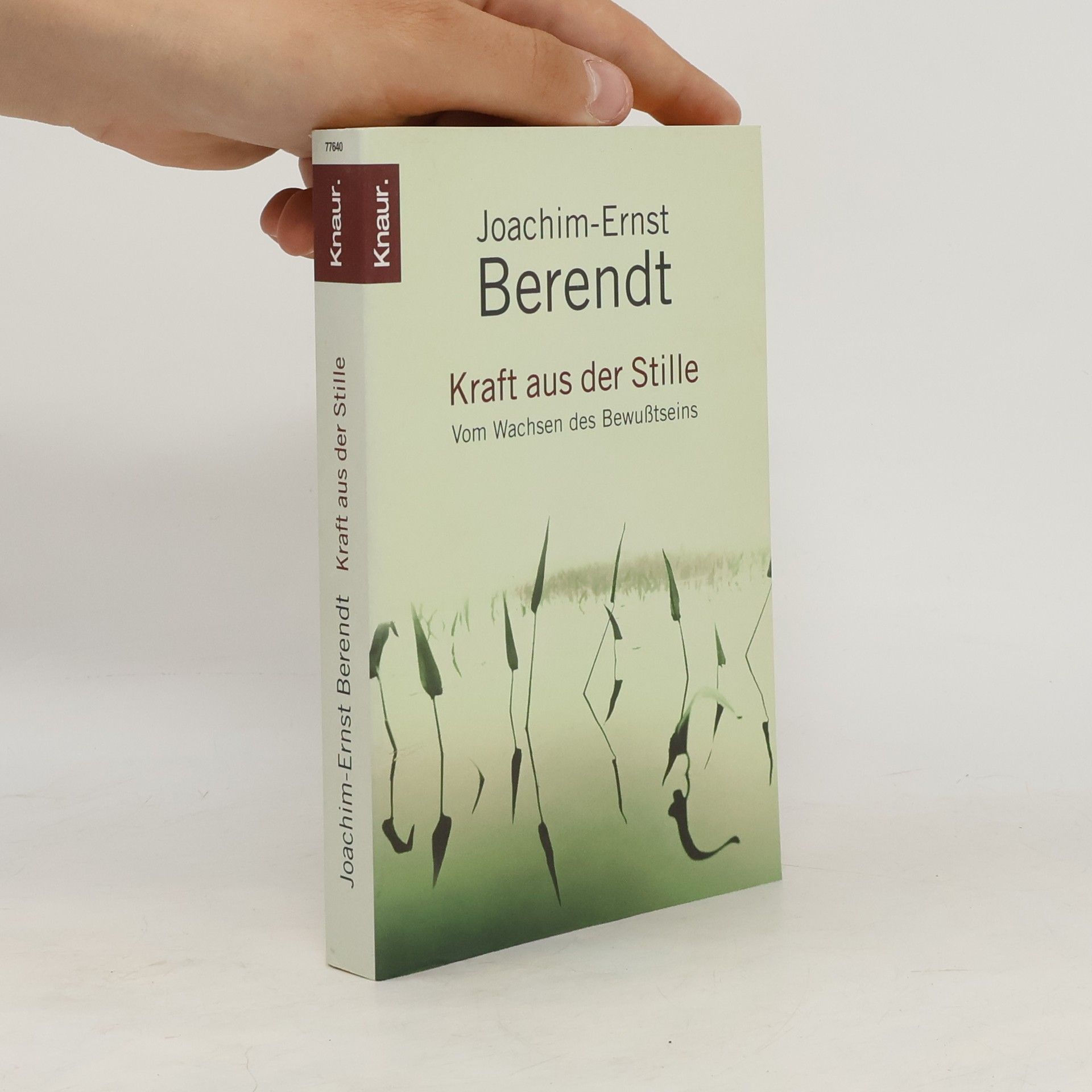 Joachim-Ernst Berendt Kraft aus der Stille
