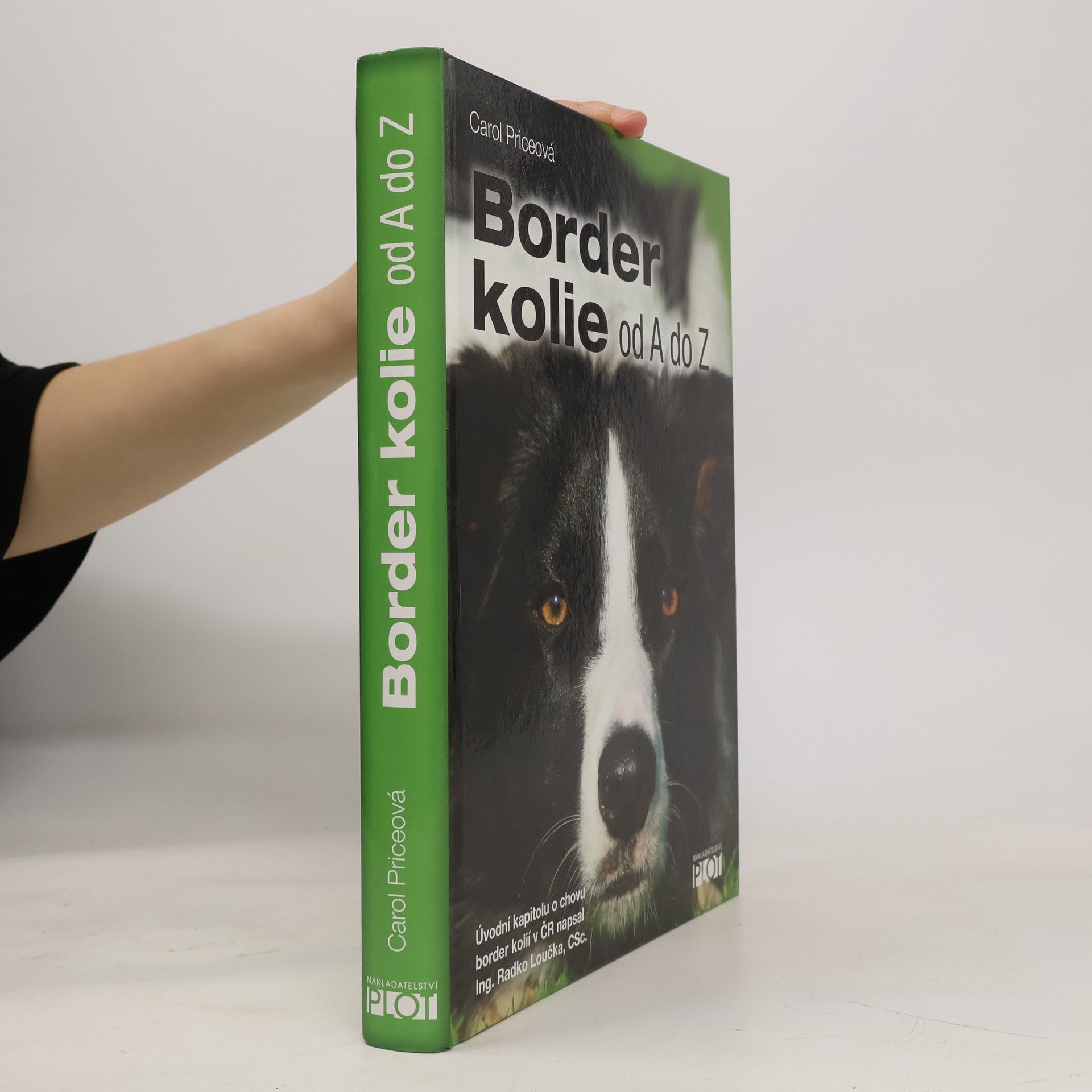 Carol Price Border kolie od A do Z