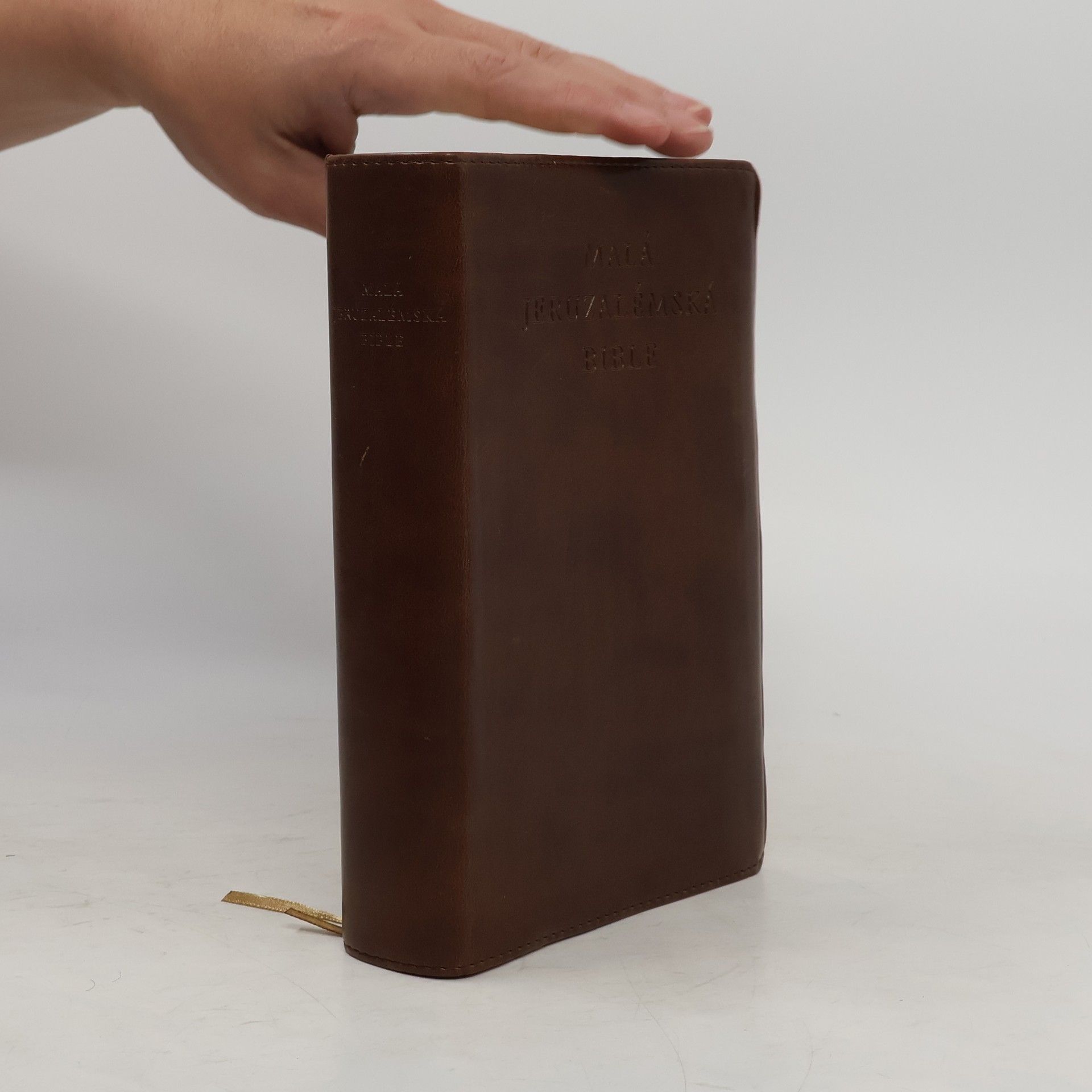 Dagmar Halasová Malá Jeruzalémská bible