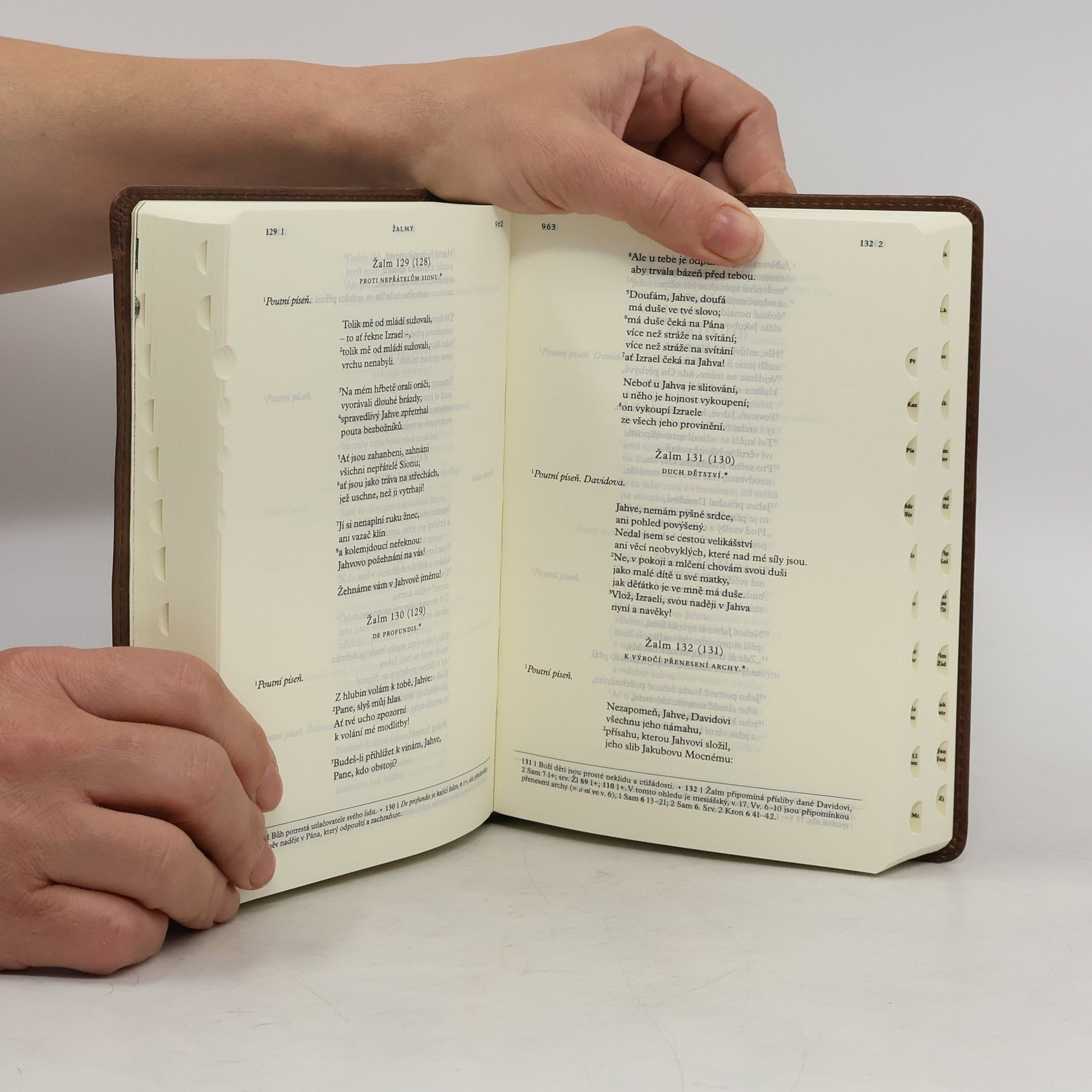 František Halas Malá Jeruzalémská bible