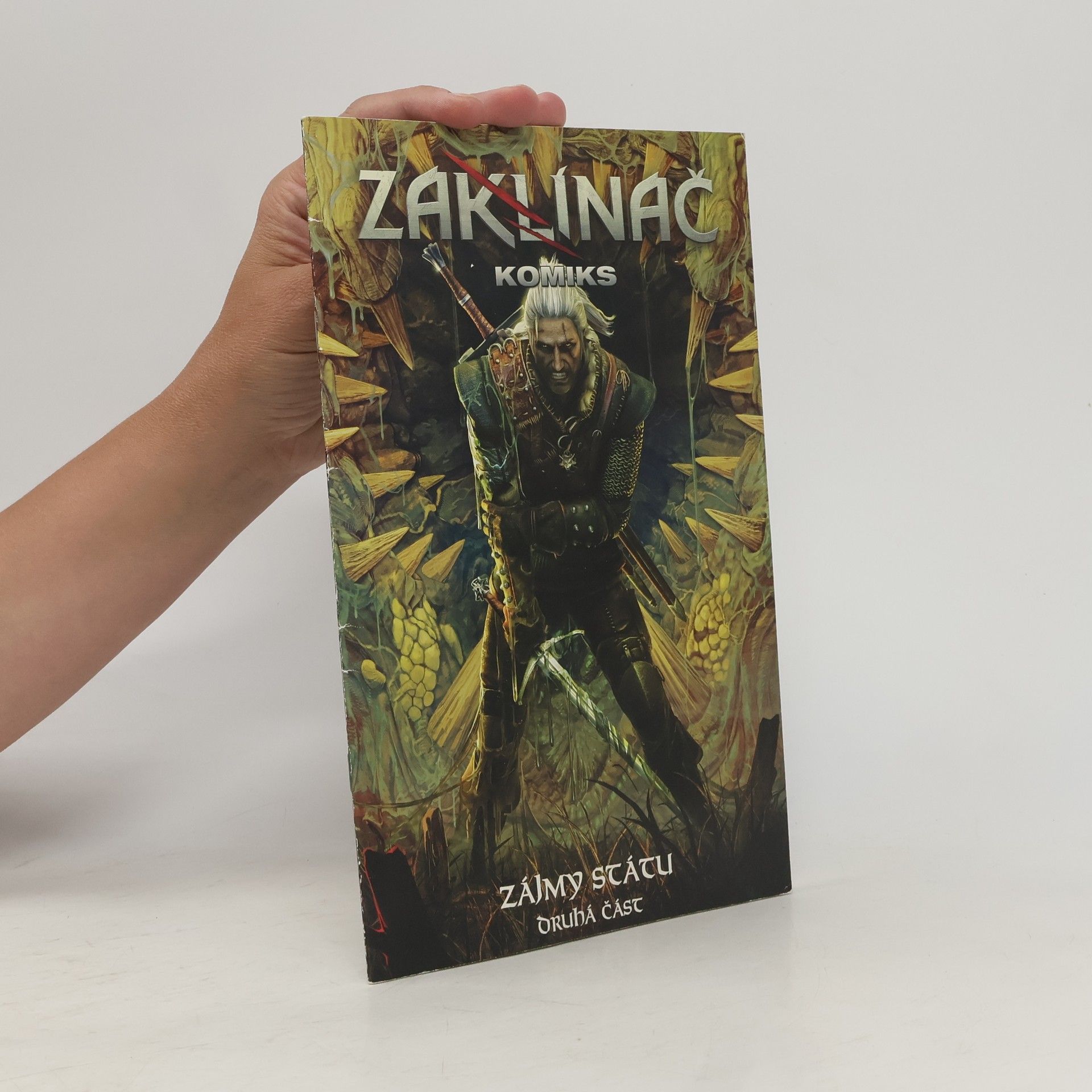 Michal Galek Zaklínač komiks: Zájmy státu 2