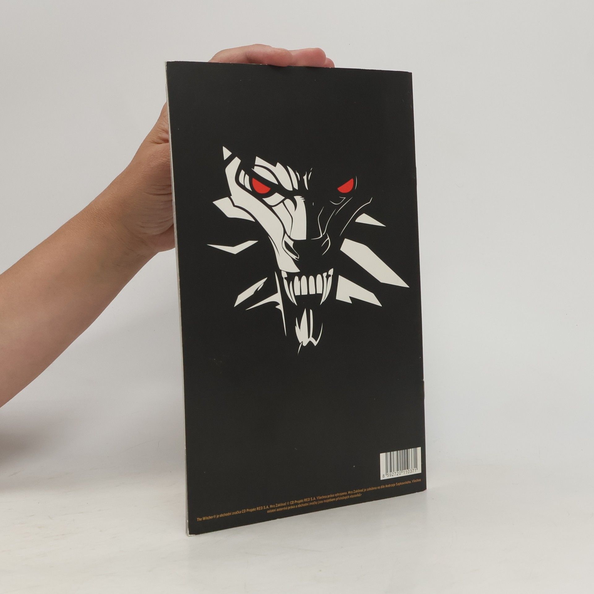 Michal Galek Zaklínač komiks: Zájmy státu 2