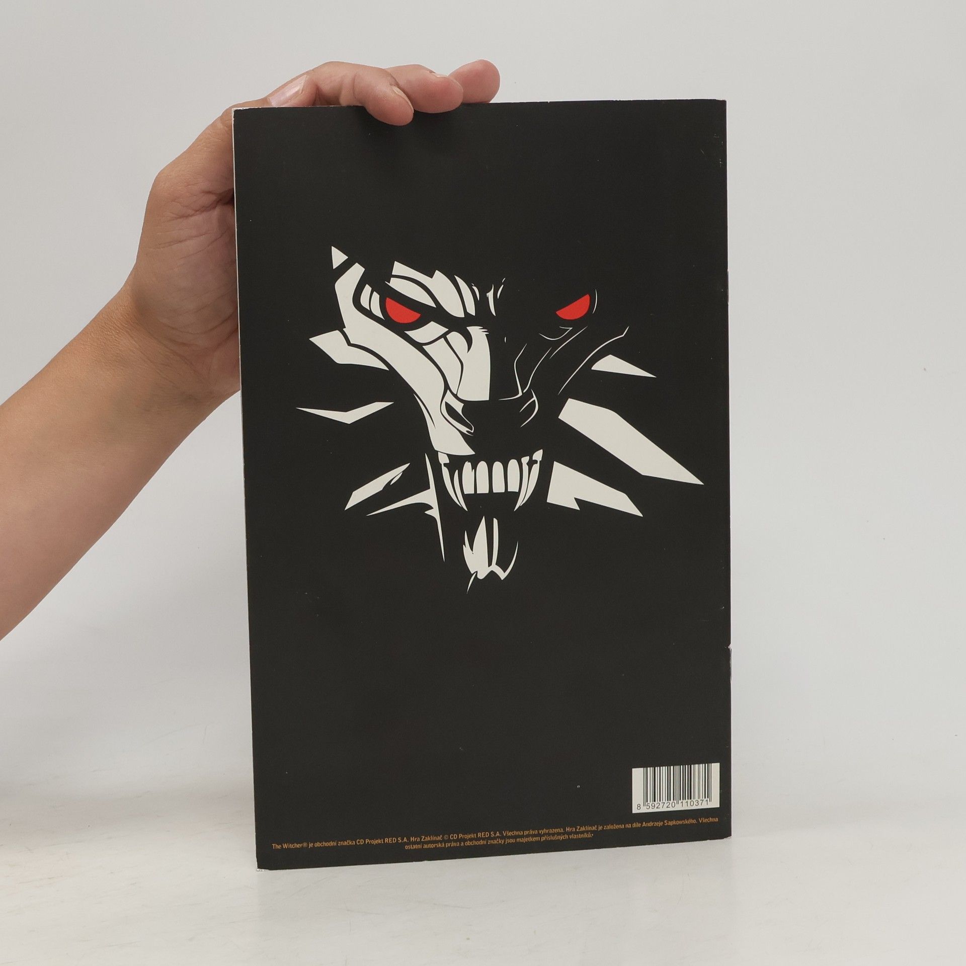 Michal Galek Zaklínač komiks: Zájmy státu 2