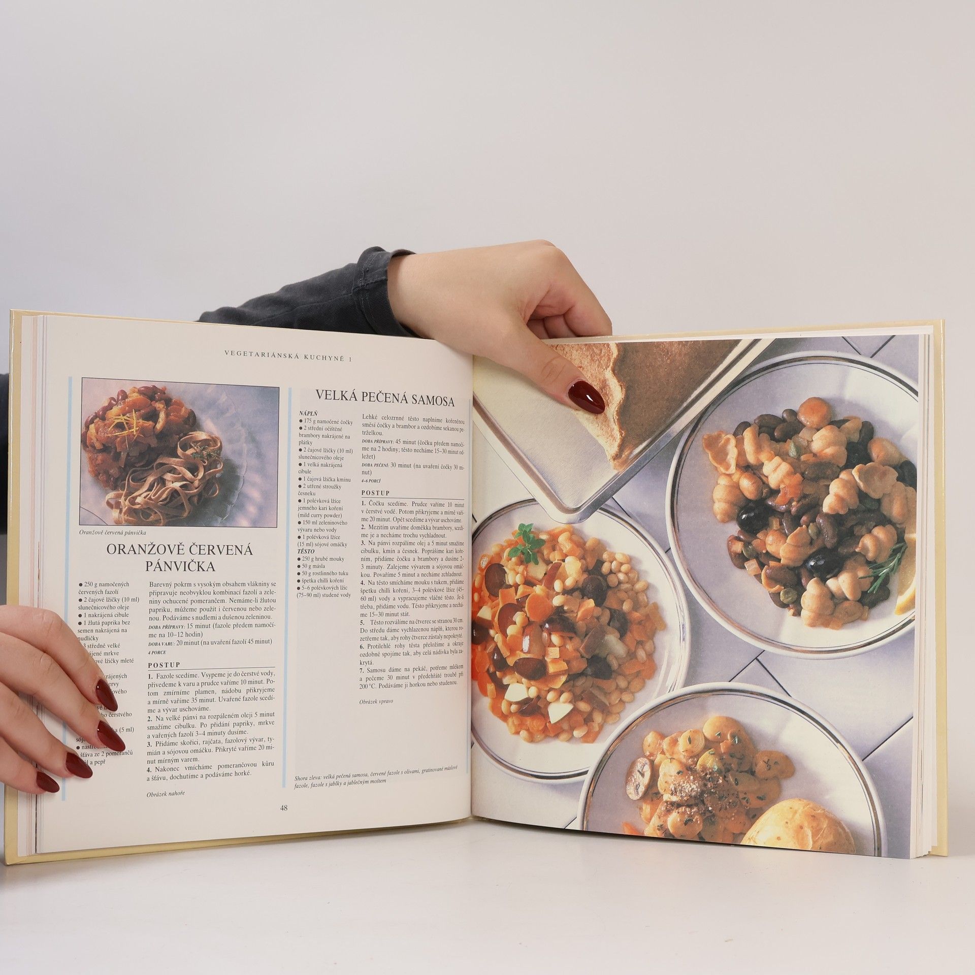 Eva Hanišová Vegetariánská kuchyně 1