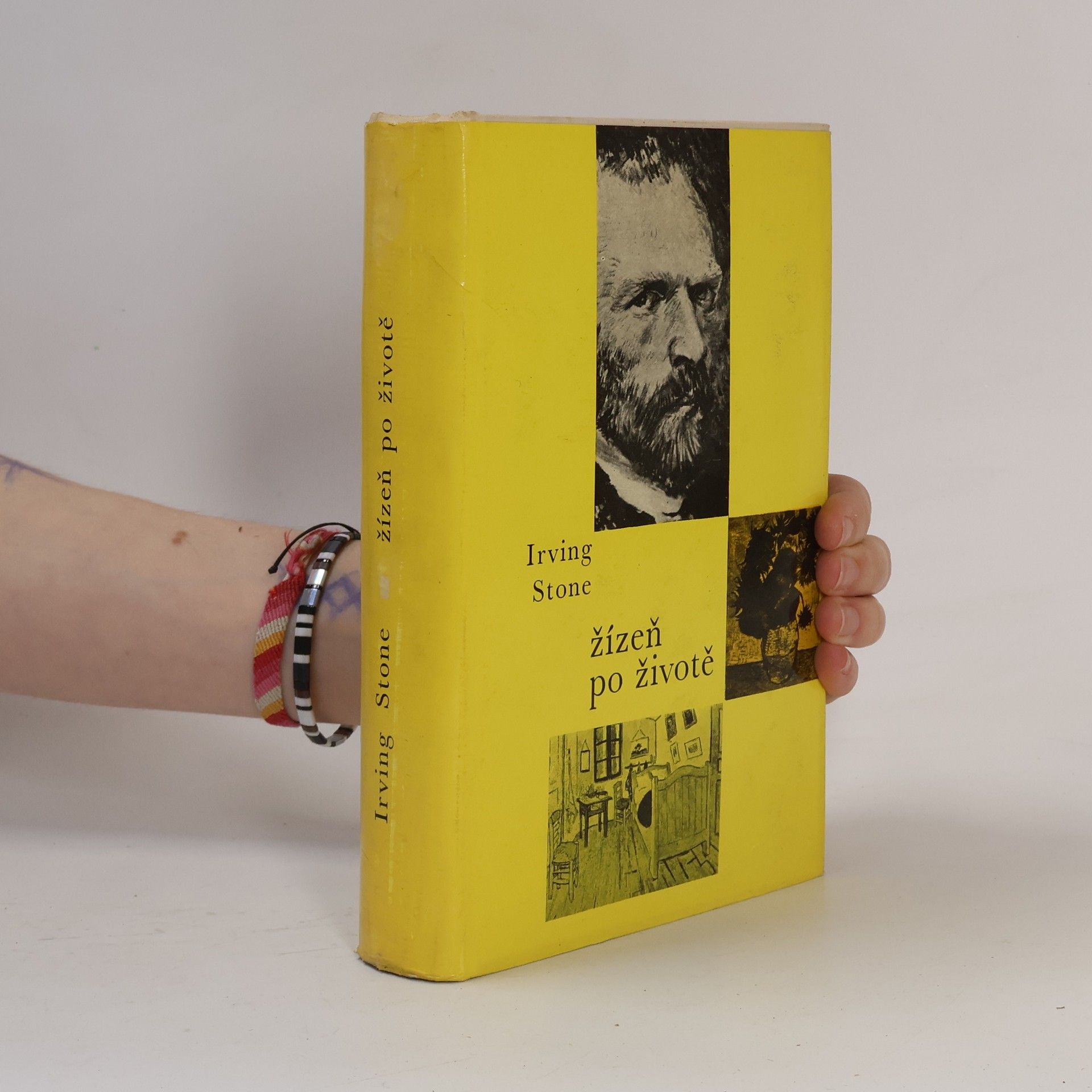 Irving Stone Žízeň po životě